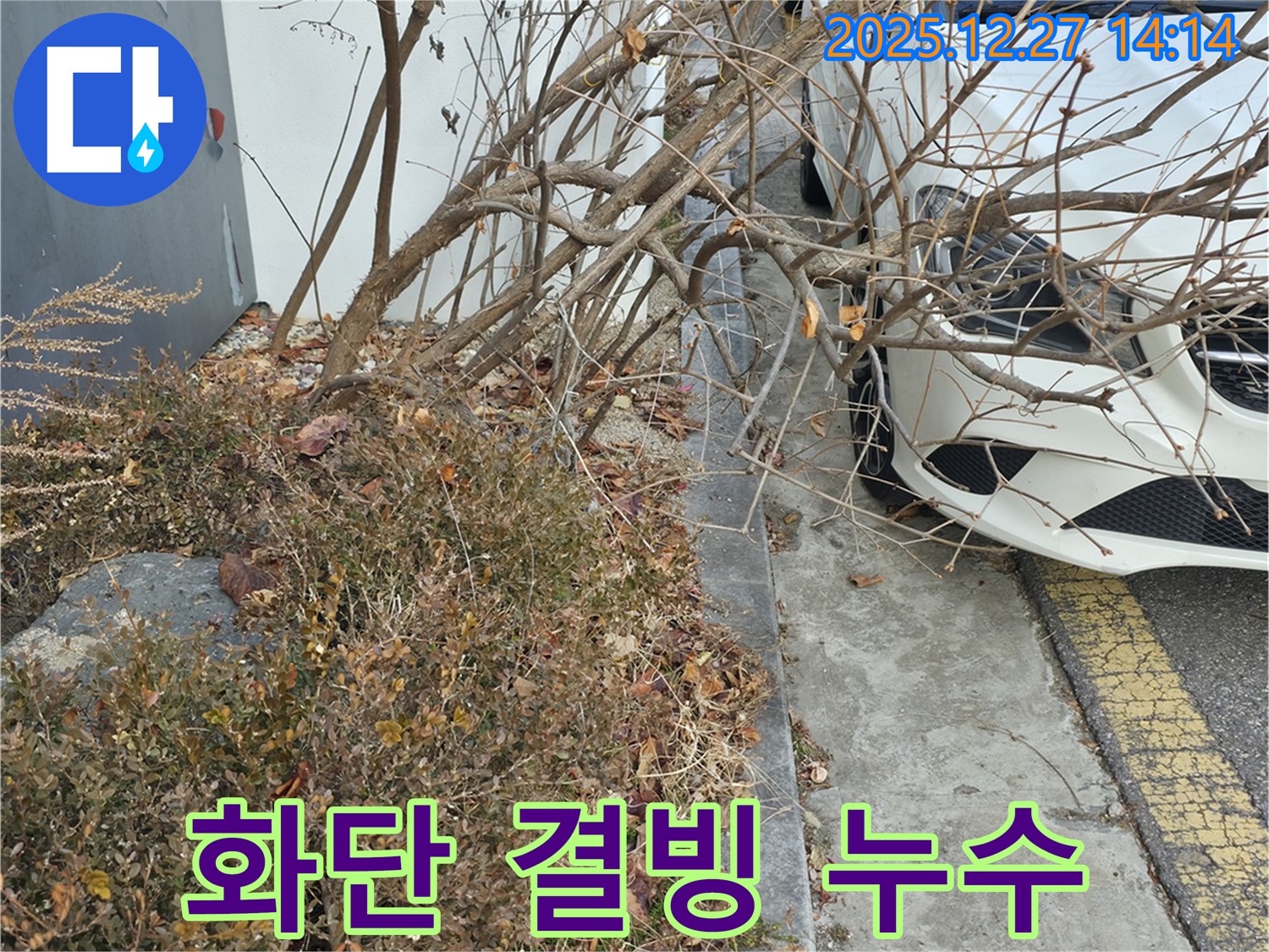 겨울철 상가 앞 화단 결빙으로 인한 누수 - 신속한 누수 탐지와 꼼꼼한 보수 작업으로 안전을 확보했습니다.