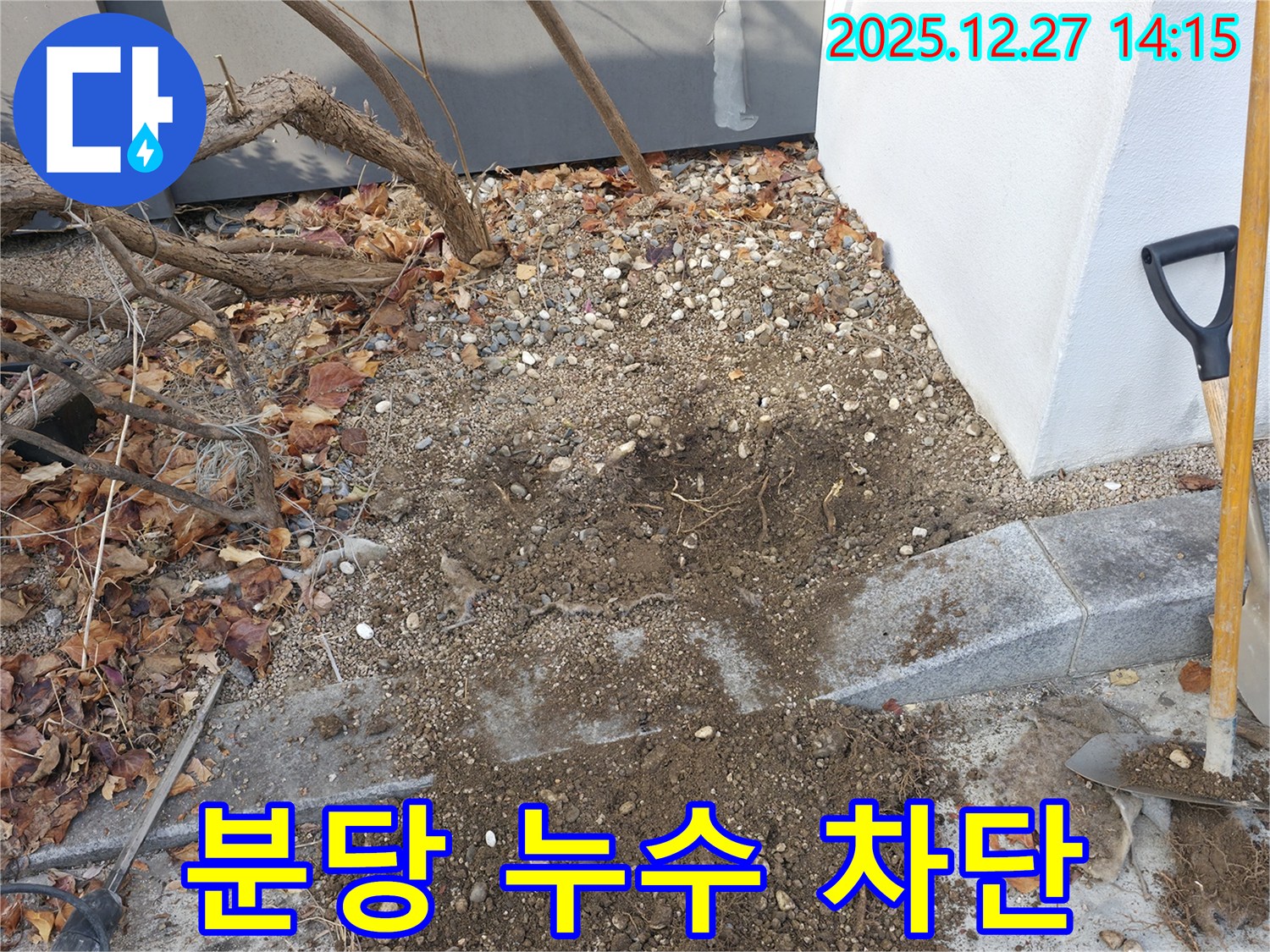 분당 지역 누수 문제 해결 - 누수 탐지부터 완벽한 공사 마무리