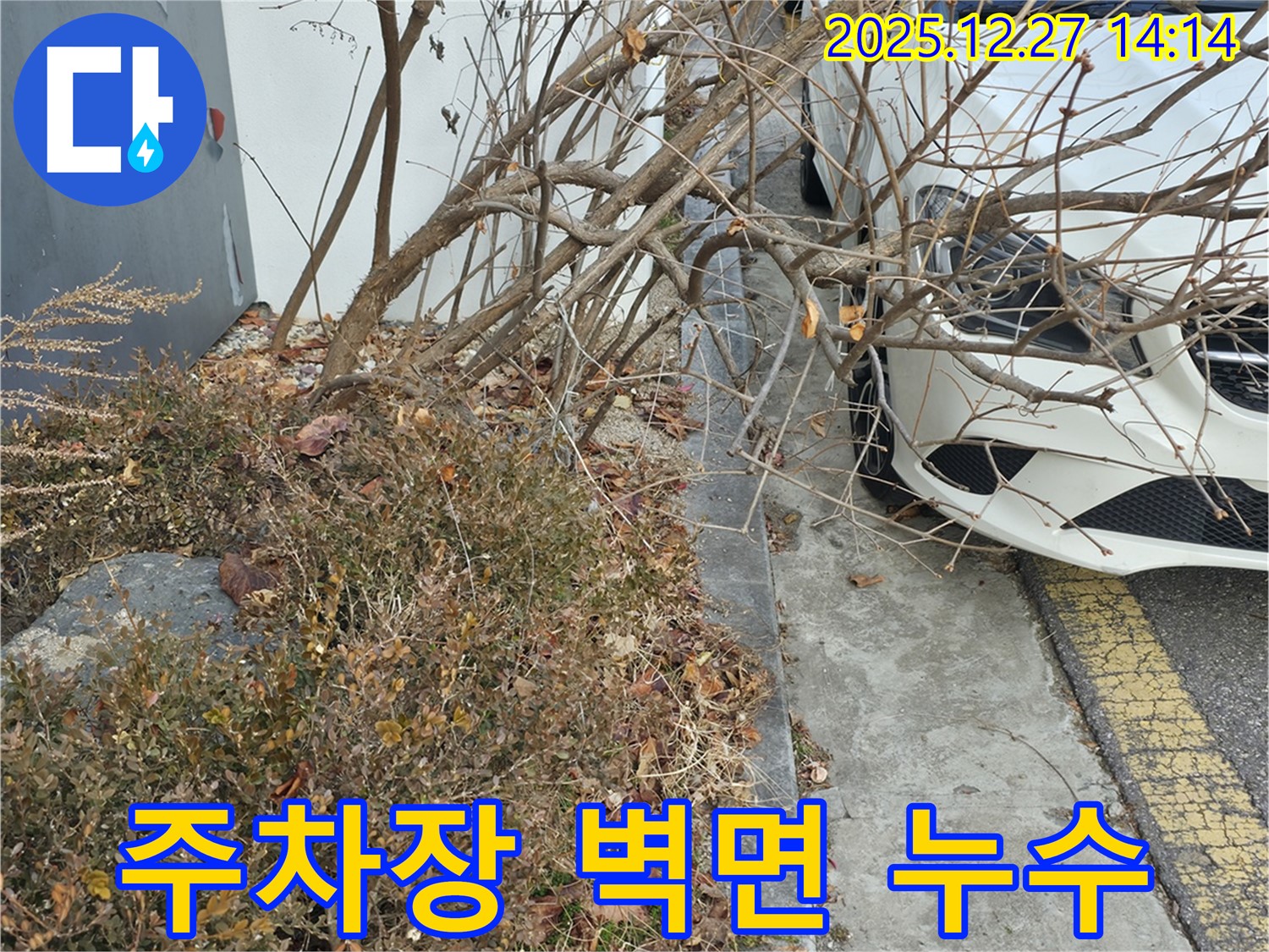 아파트 지하 주차장 벽면 누수 - 정밀 진단과 꼼꼼한 방수 공사로 누수 문제를 완벽하게 차단했습니다.