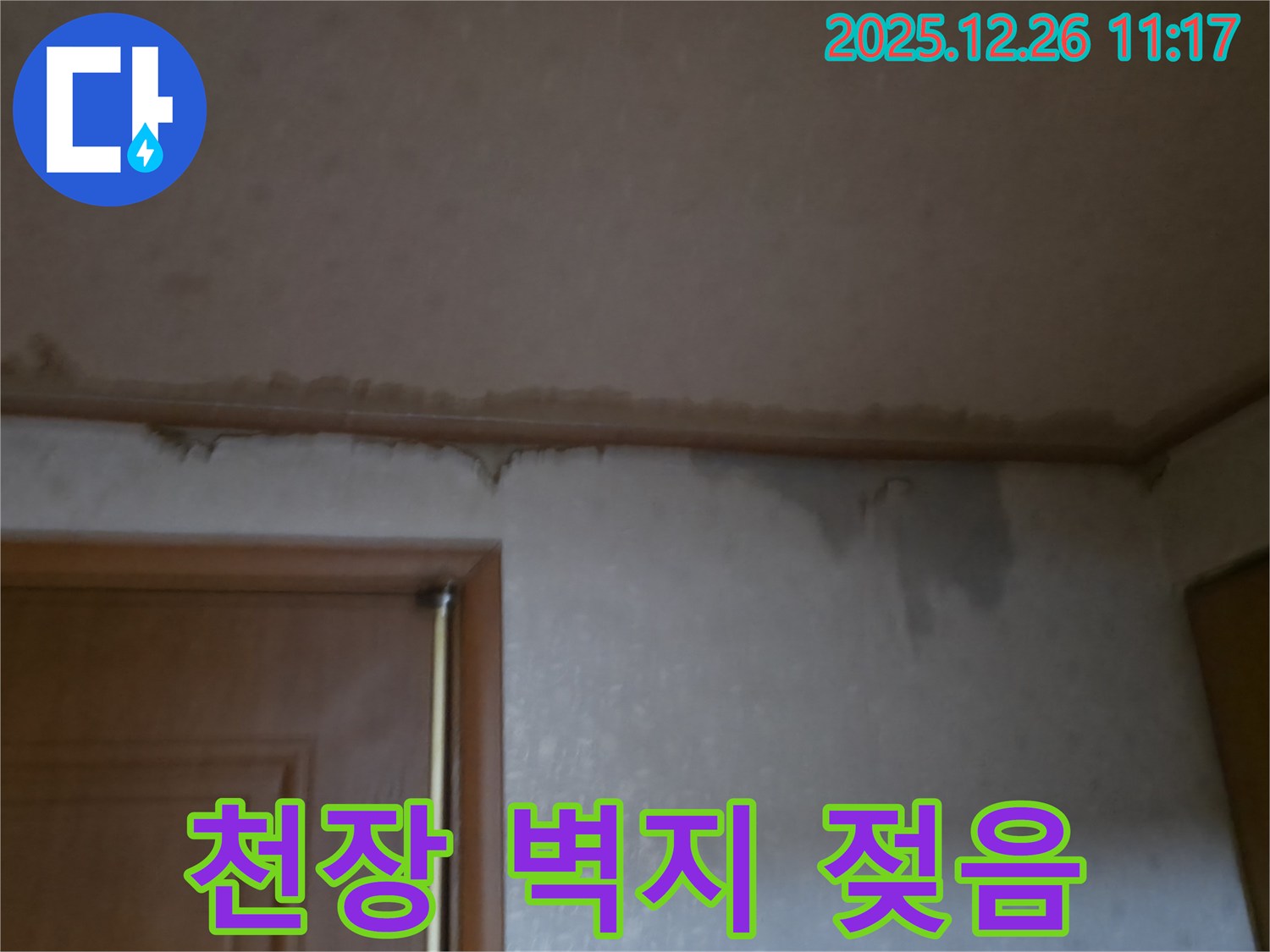 일산 백석로 천장 벽지 젖음 - 천장 벽지가 젖어 있는 상태를 보여줍니다. 신속한 진단과 완벽한 해결이 필요합니다.