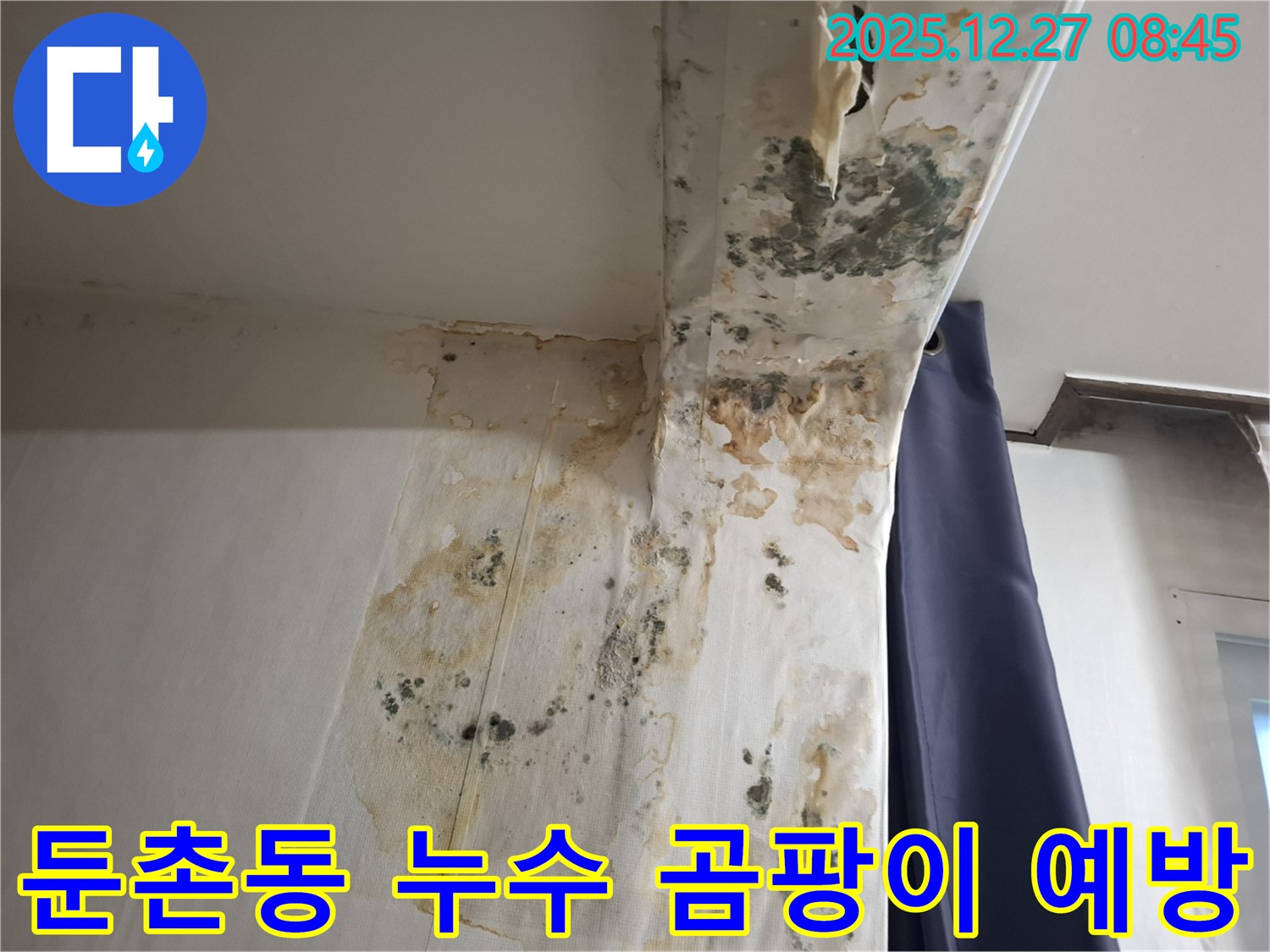 둔촌동 누수 현장 - 곰팡이 문제 해결 및 예방, 누수탐지 전문가의 꼼꼼한 시공