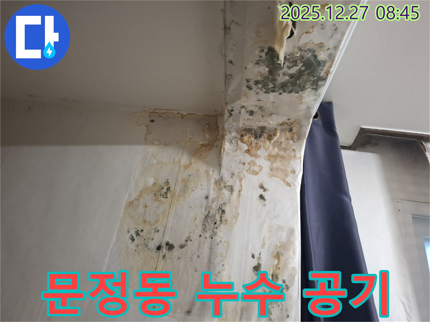 문정동 누수 현장 - 곰팡이 냄새 제거 후 공기 정화, 누수탐지 전문가의 상쾌한 공간 만들기