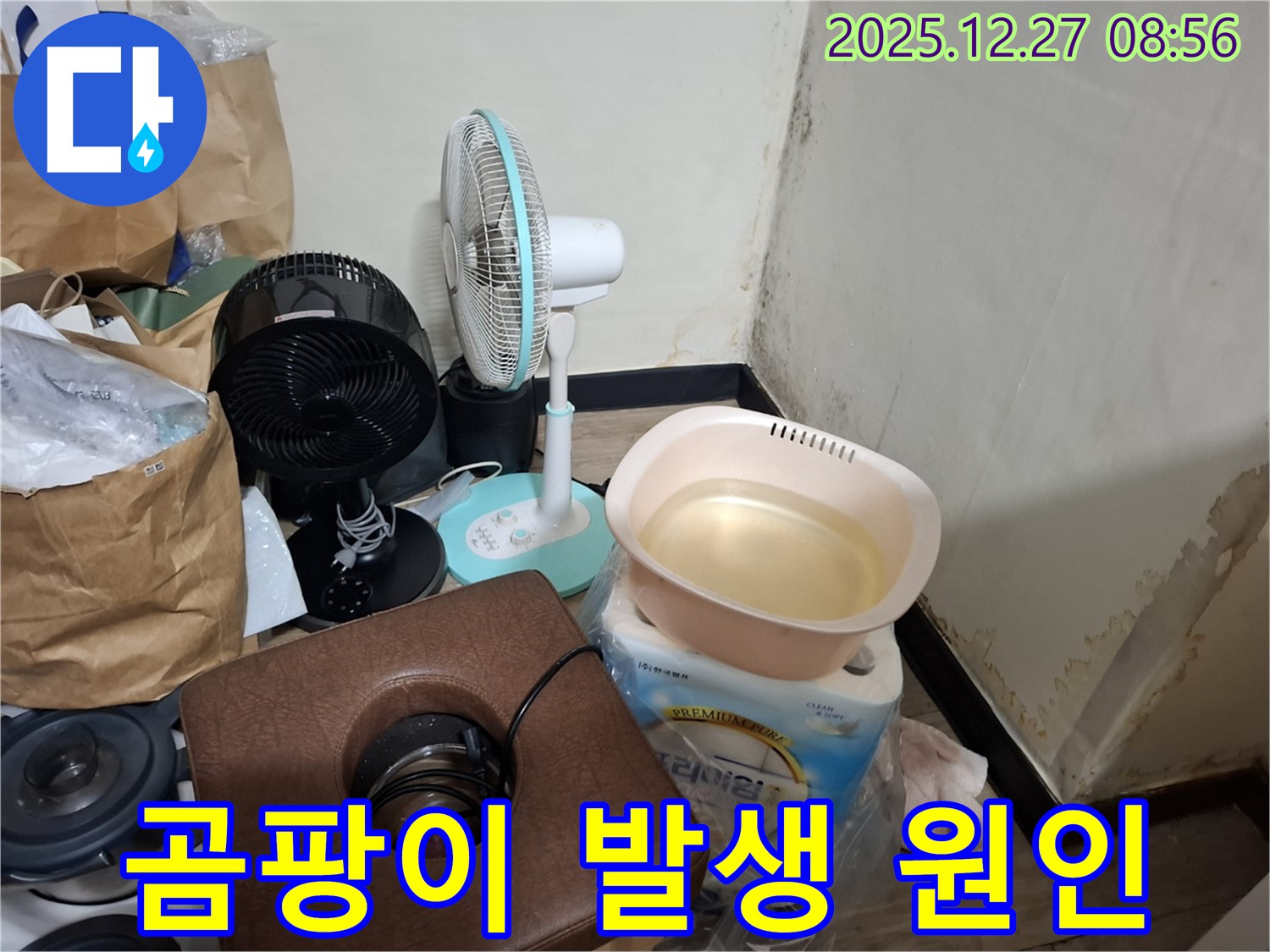 삼전동 누수 현장 - 곰팡이, 왜 생기는 걸까요? - 습도, 온도, 영양분이 곰팡이 발생의 3요소입니다.