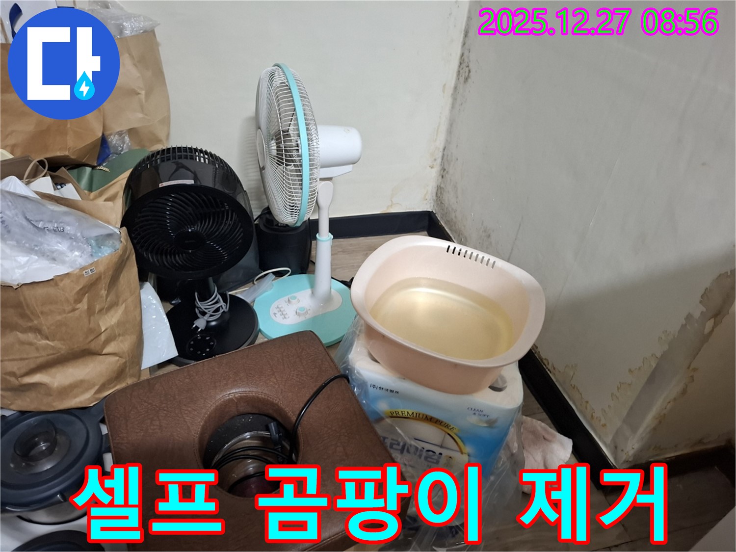 삼전동 누수 현장 - 곰팡이, 혼자서 제거해도 될까요? - 전문가의 조언을 구하세요.