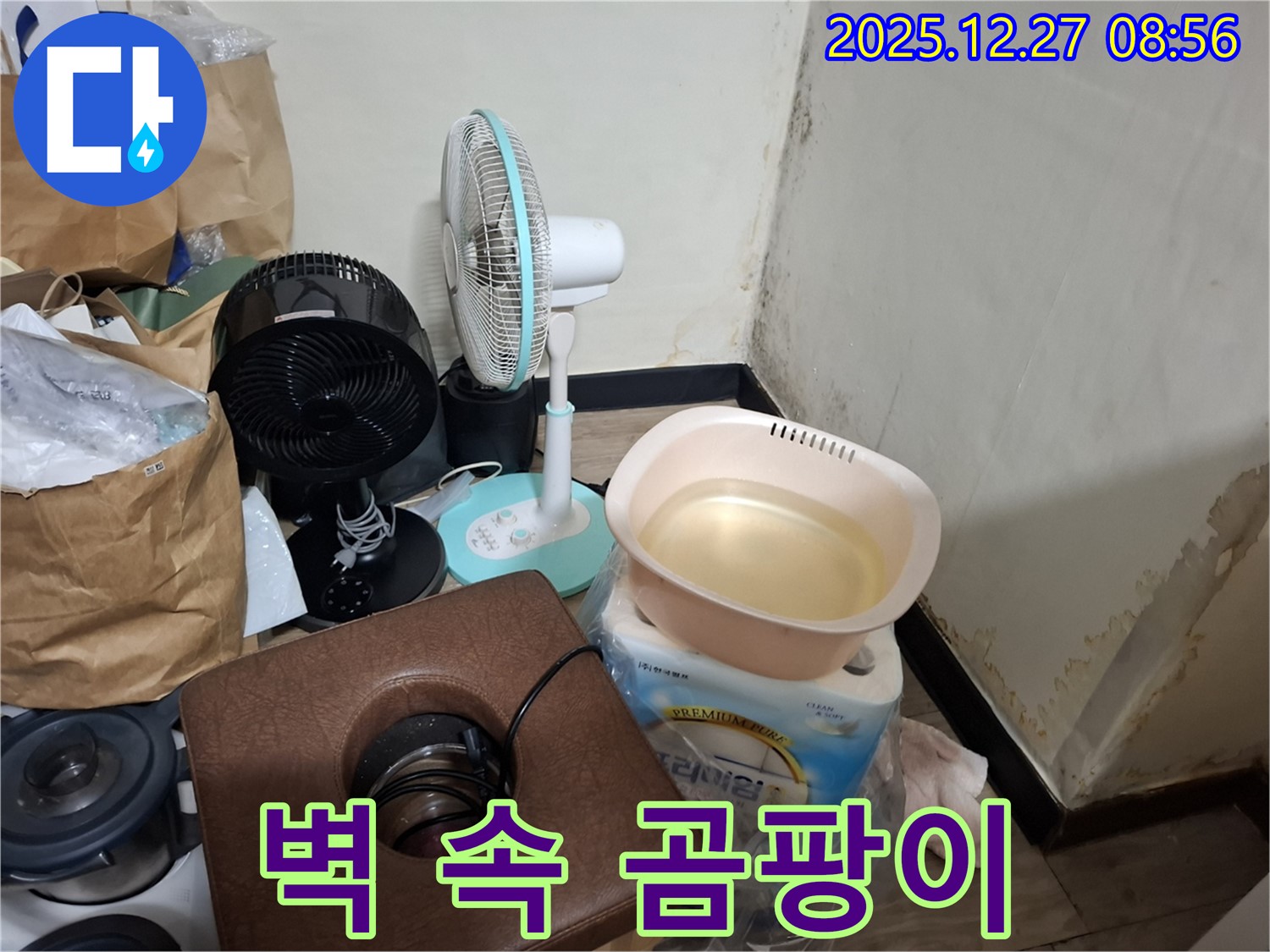 송파구 삼전동 누수 현장 - 벽 속 깊숙이 숨어있는 곰팡이를 제거하는 모습입니다 - 전문 장비 사용.