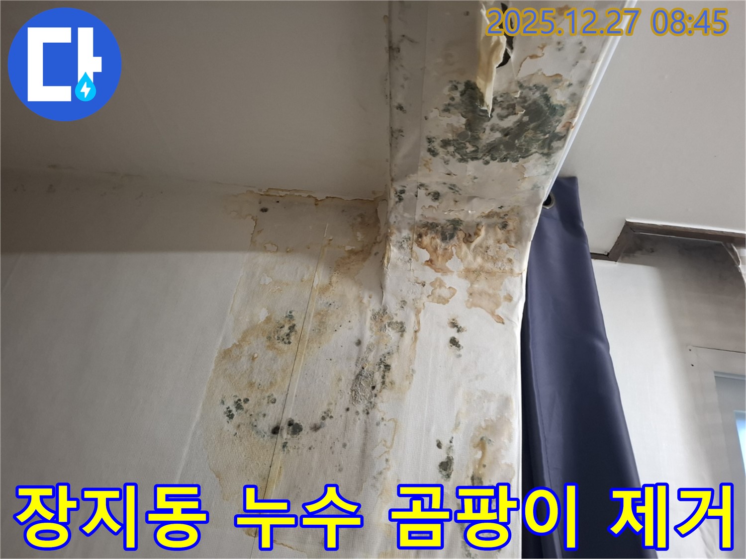장지동 누수 현장 - 곰팡이 제거 후 쾌적한 공간으로 변화, 누수탐지 전문가의 노력