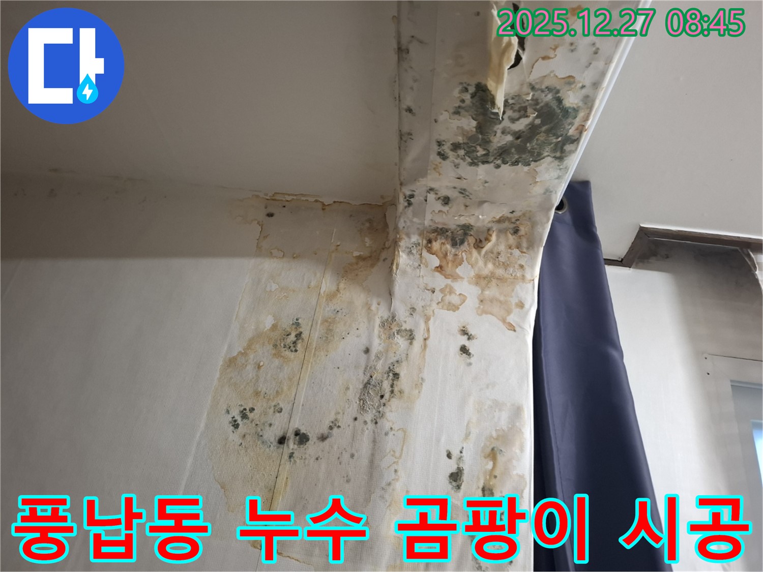 풍납동 누수 현장 - 곰팡이 제거 및 방지 시공, 누수탐지 전문가의 완벽한 마무리