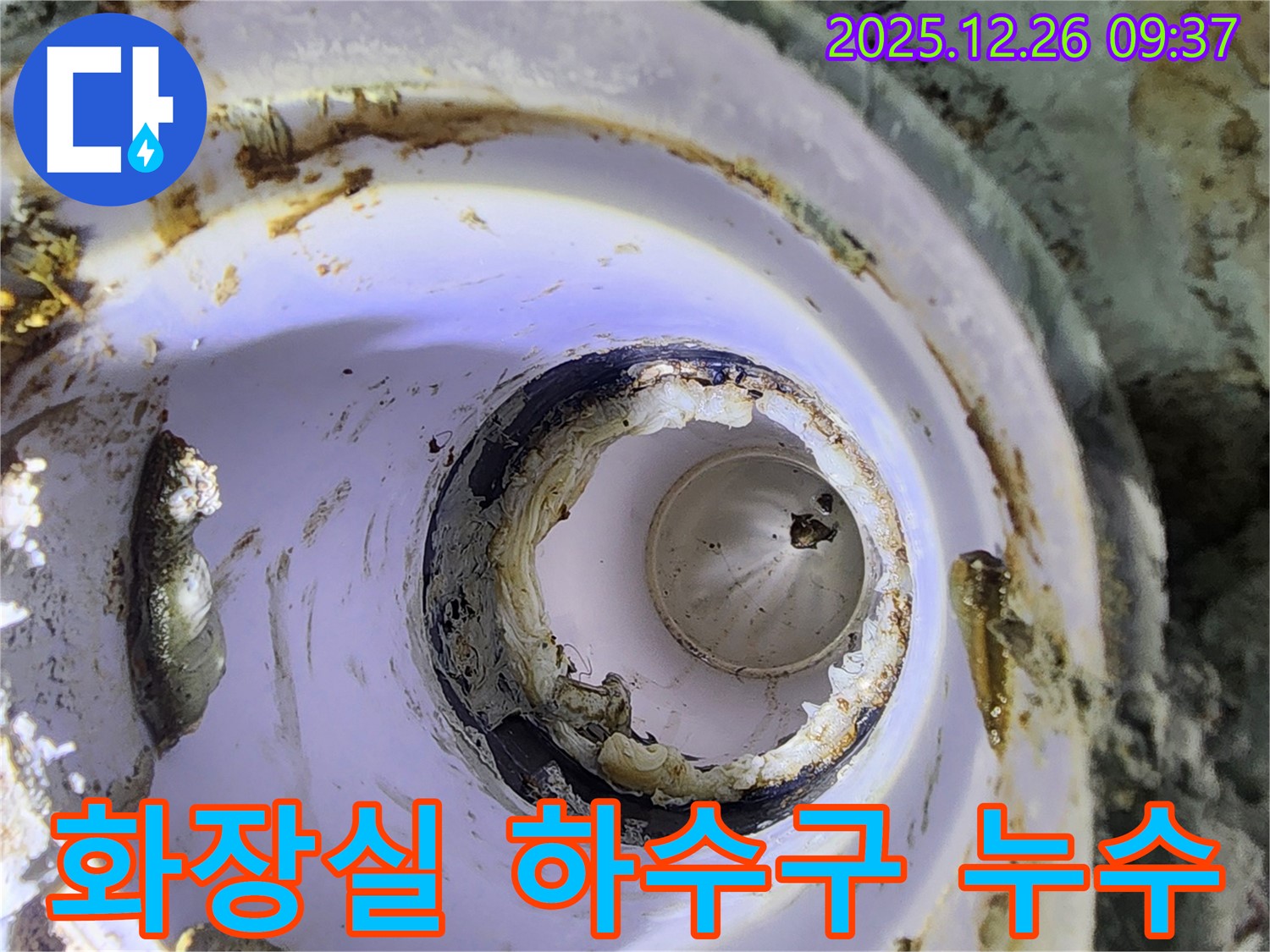 노원구 상계동 화장실 하수구 배관 누수 - 누수탐지 전문 업체가 최첨단 장비를 사용하여 누수 원인을 정확하게 진단하고, 완벽하게 수리합니다.