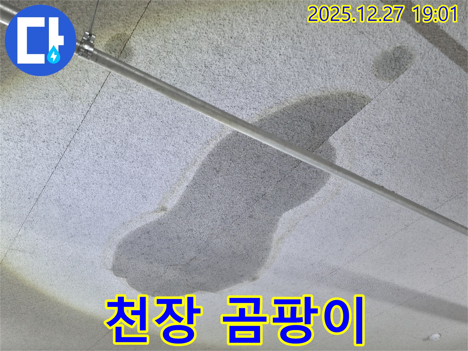 양주 옥정동 천장 누수 - 곰팡이 발생 - 누수 해결 및 곰팡이 제거
