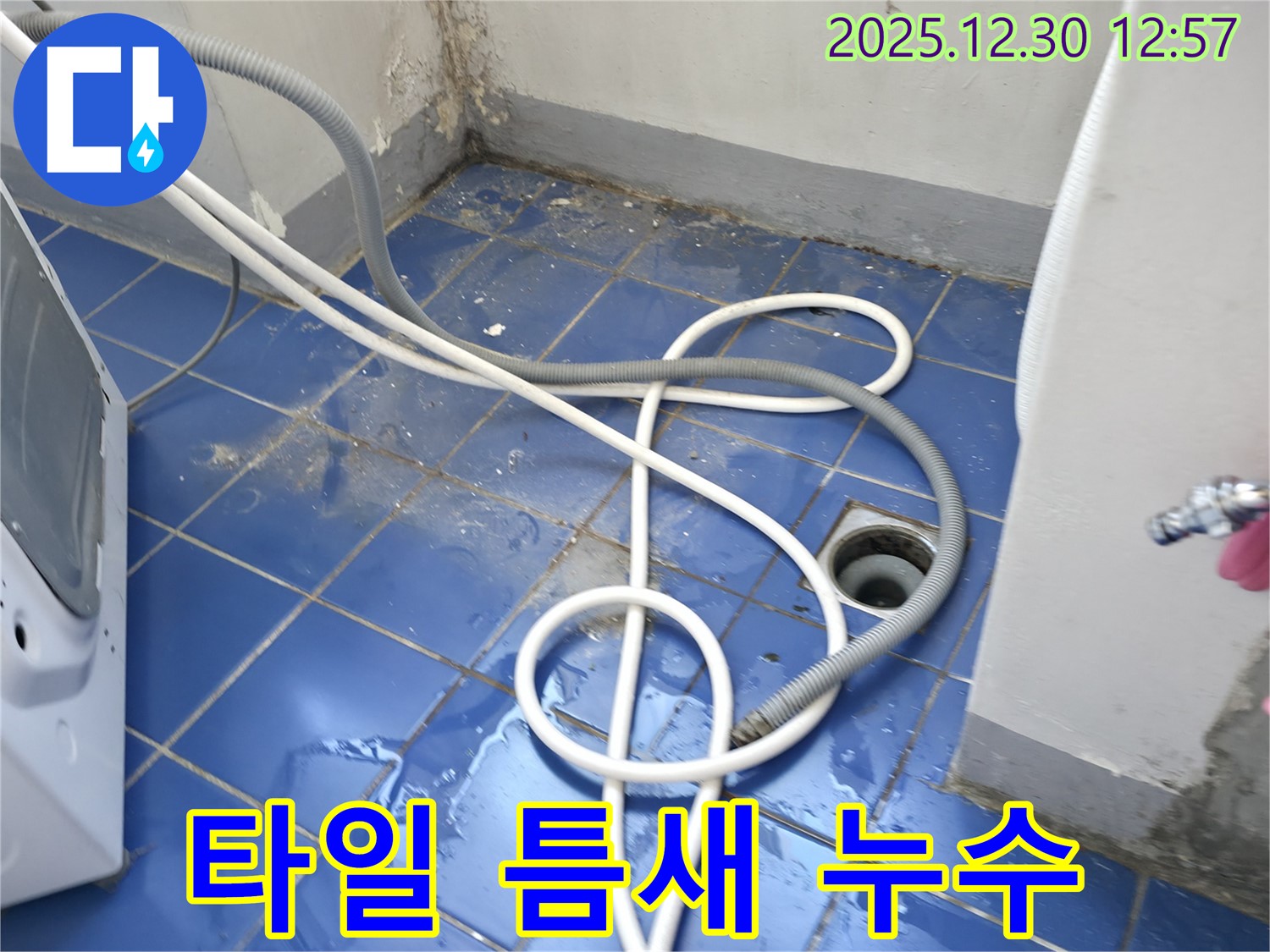 성동구 무학로 벽산아파트 세탁실 - 배수구 주변 타일 틈새 누수 해결