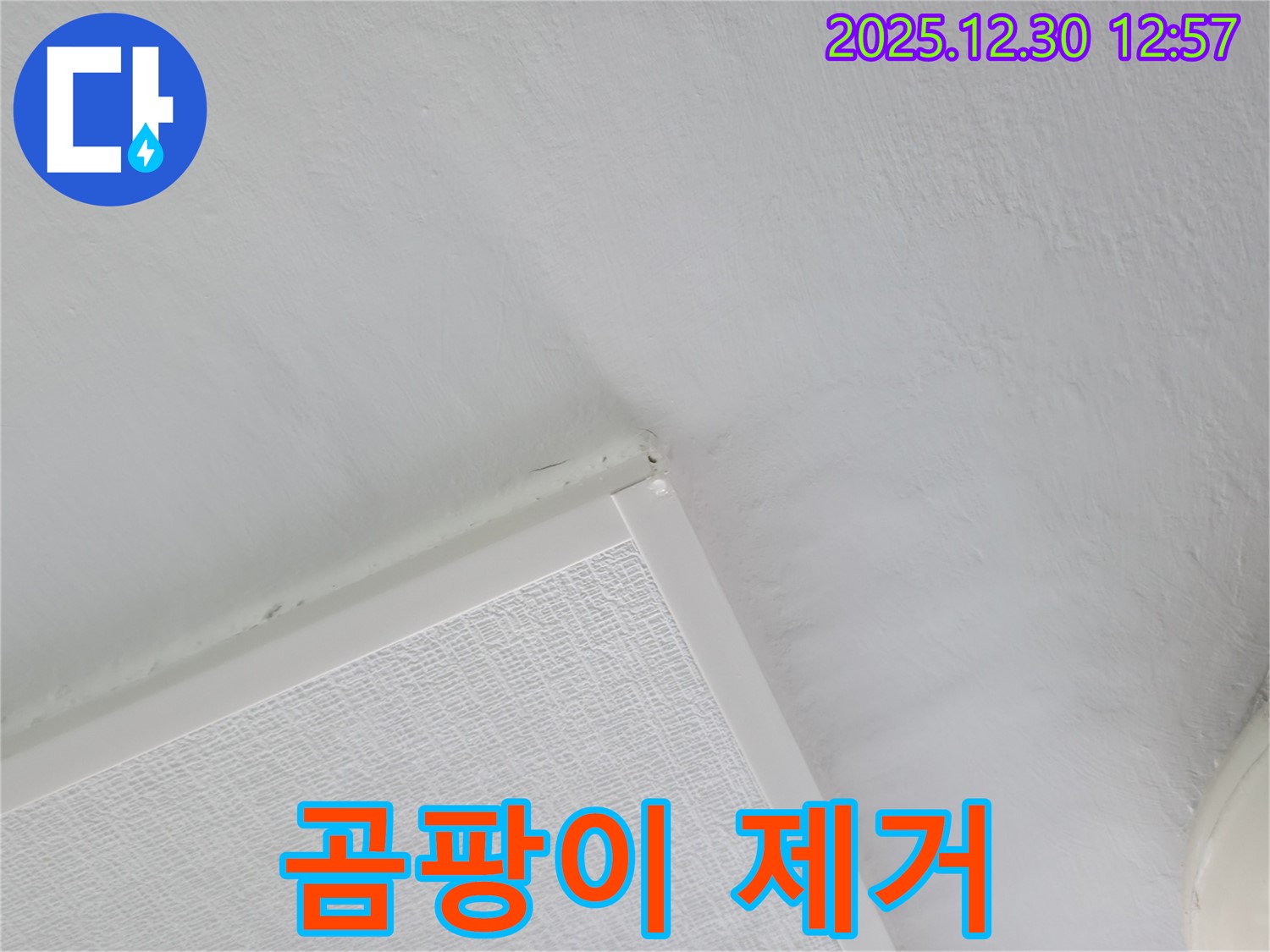 성동구 벽산아파트 누수 - 천장 곰팡이 제거 및 누수 해결 작업