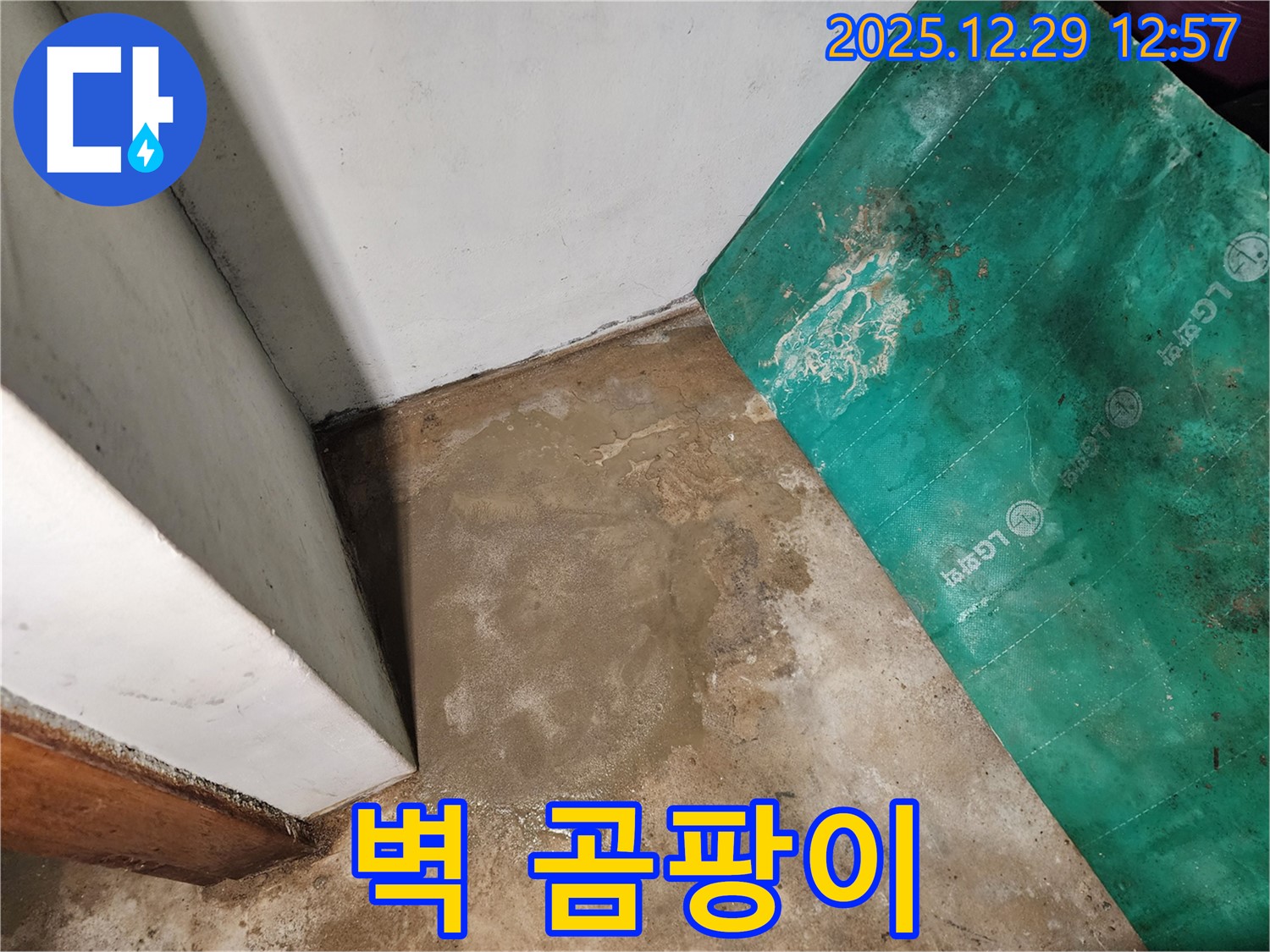 상계2동 누수 - 벽 모서리에 핀 곰팡이, 누수 의심