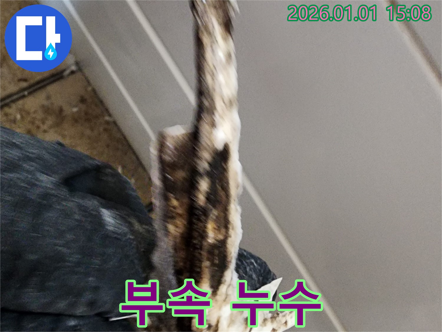 일산동구 정발산동 누수 현장 - 낡은 배관 부속에서 발생한 누수를 보여줍니다.