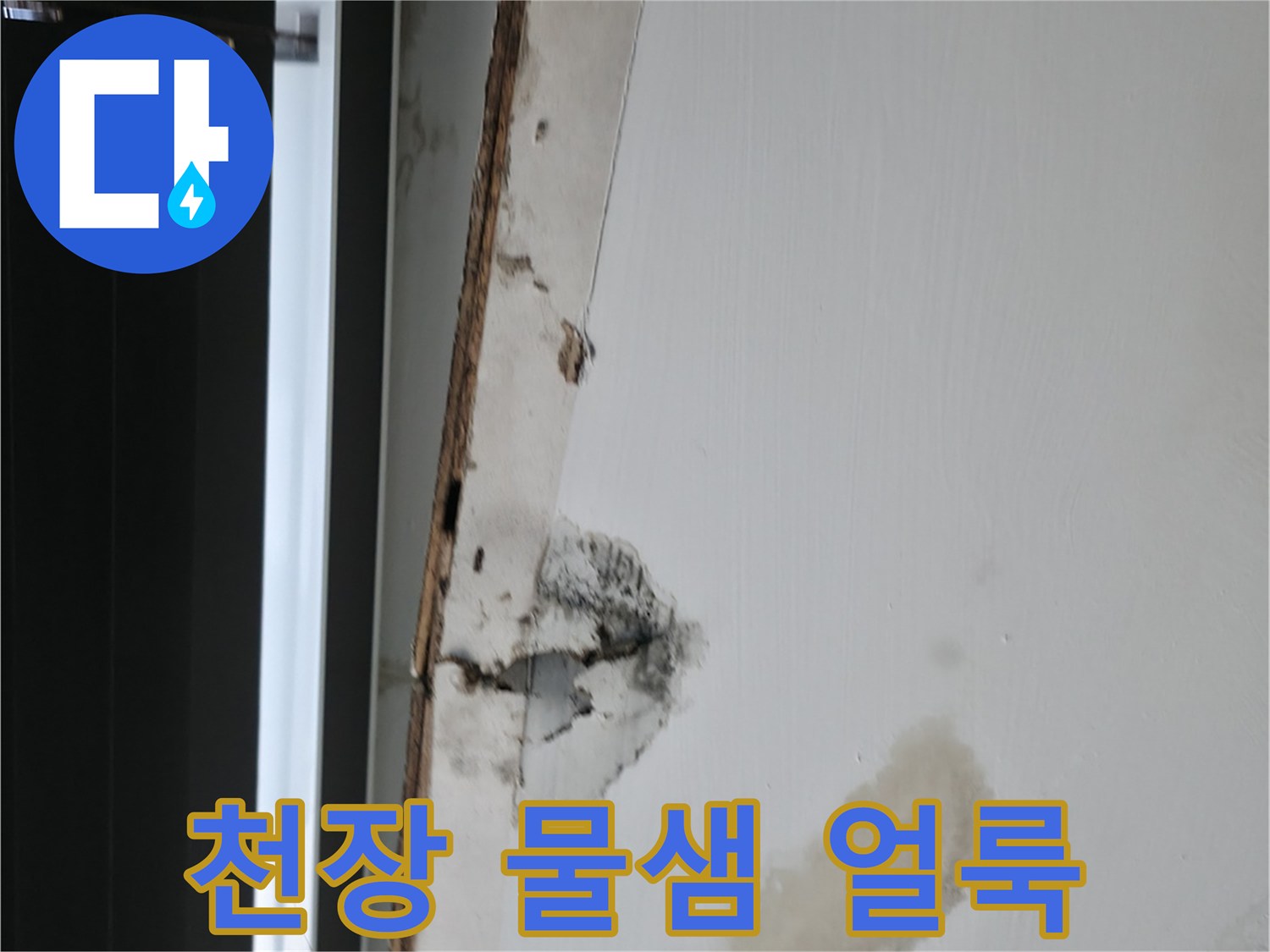 기흥구 사무실-천장 곰팡이 및 물샘 흔적 사진