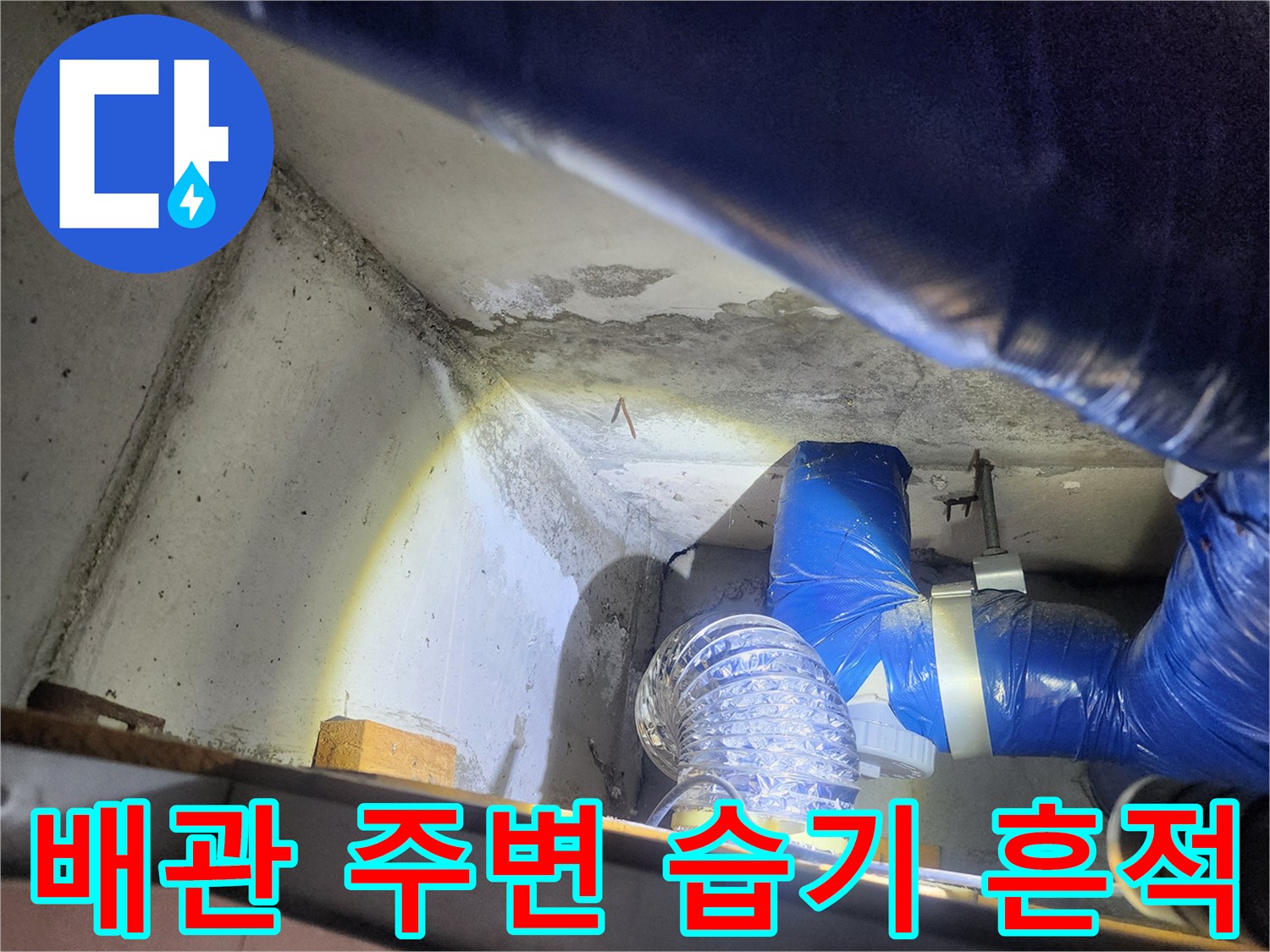 물에 젖은 콘크리트 면과 파란색 배관의 근접 촬영