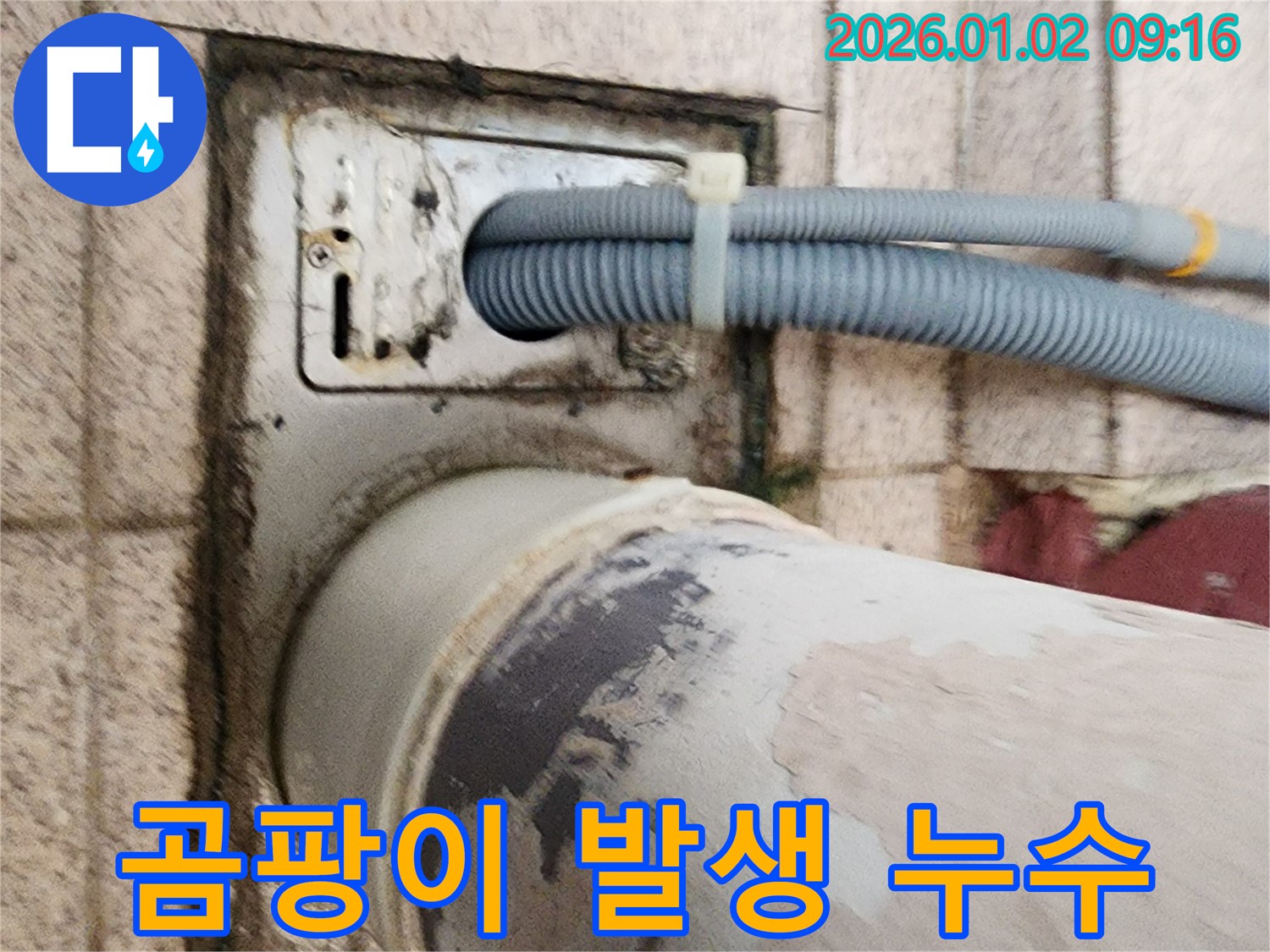 세탁기 배수구 주변 곰팡이 - 배수구 주변에 곰팡이가 발생하여 누수를 의심하고 있습니다.