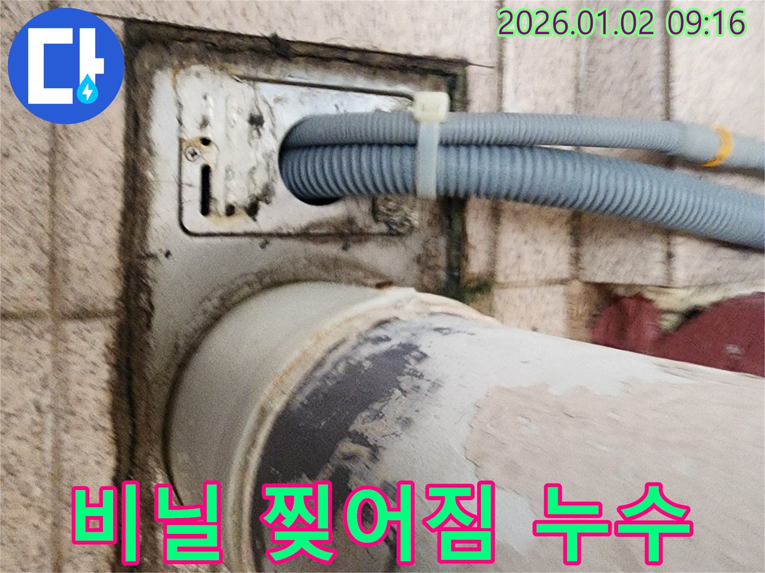세탁기 배수구 주변 방수 비닐 찢어짐 - 방수 비닐이 찢어져 틈새가 생기고, 이 틈새로 물이 새고 있습니다.