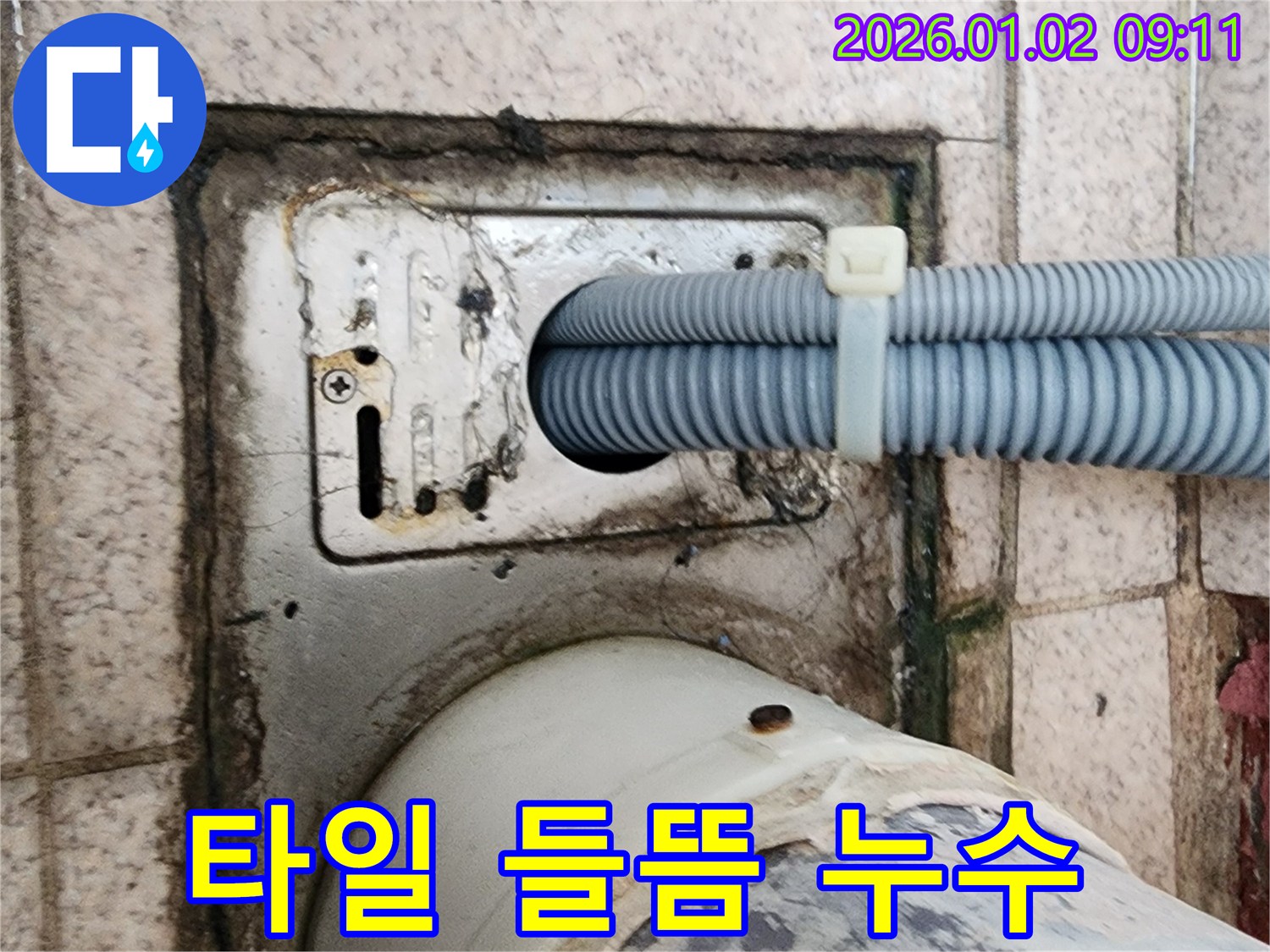 세탁기 배수구 주변 타일 들뜸으로 인한 누수 - 노원구 상계9동 누수 전문가가 타일 재시공 및 방수 처리로 해결했습니다.
