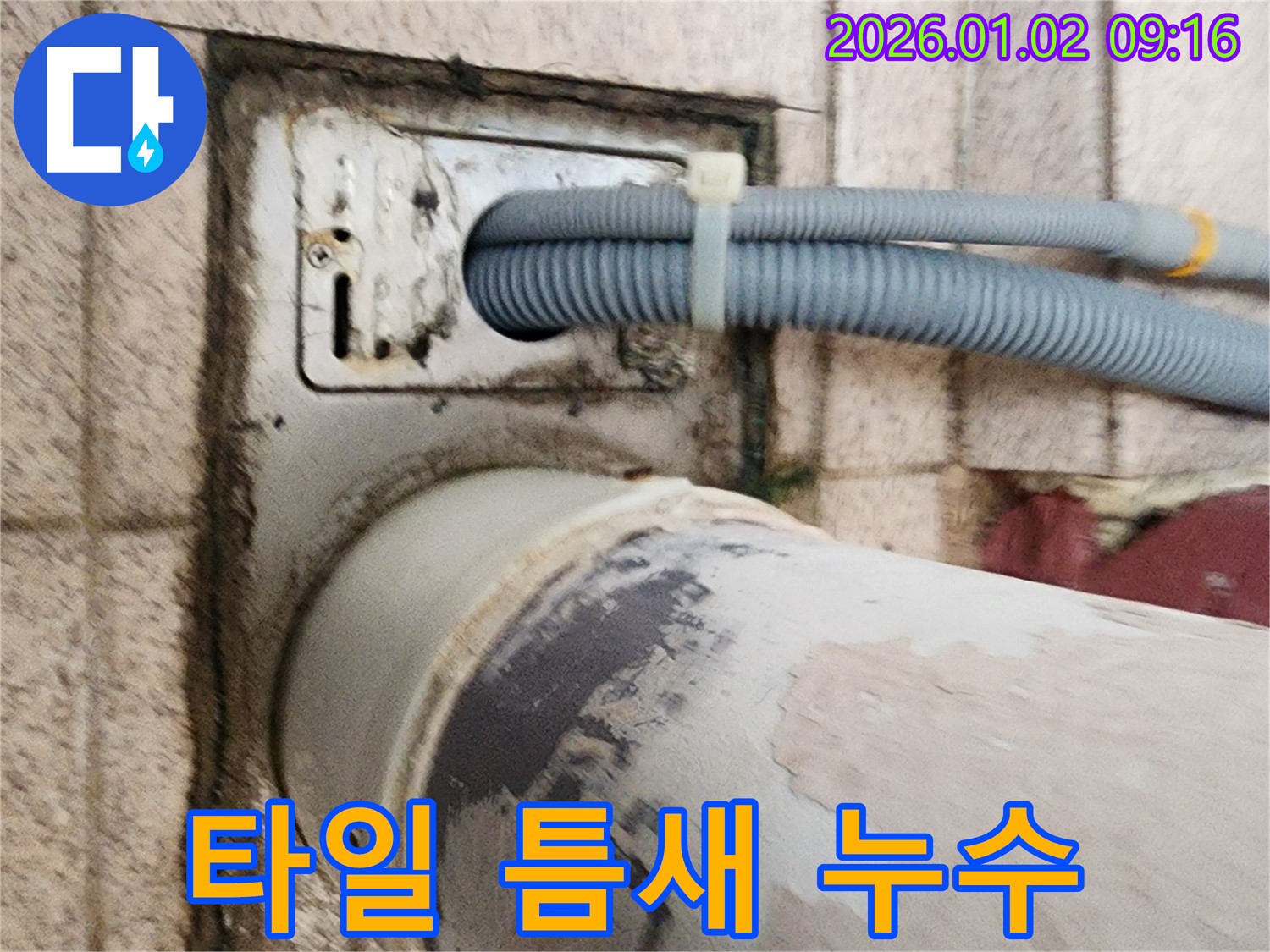 세탁기 배수구 주변 타일 틈새 - 타일 틈새가 벌어져 물이 스며들고 누수가 발생하고 있습니다.