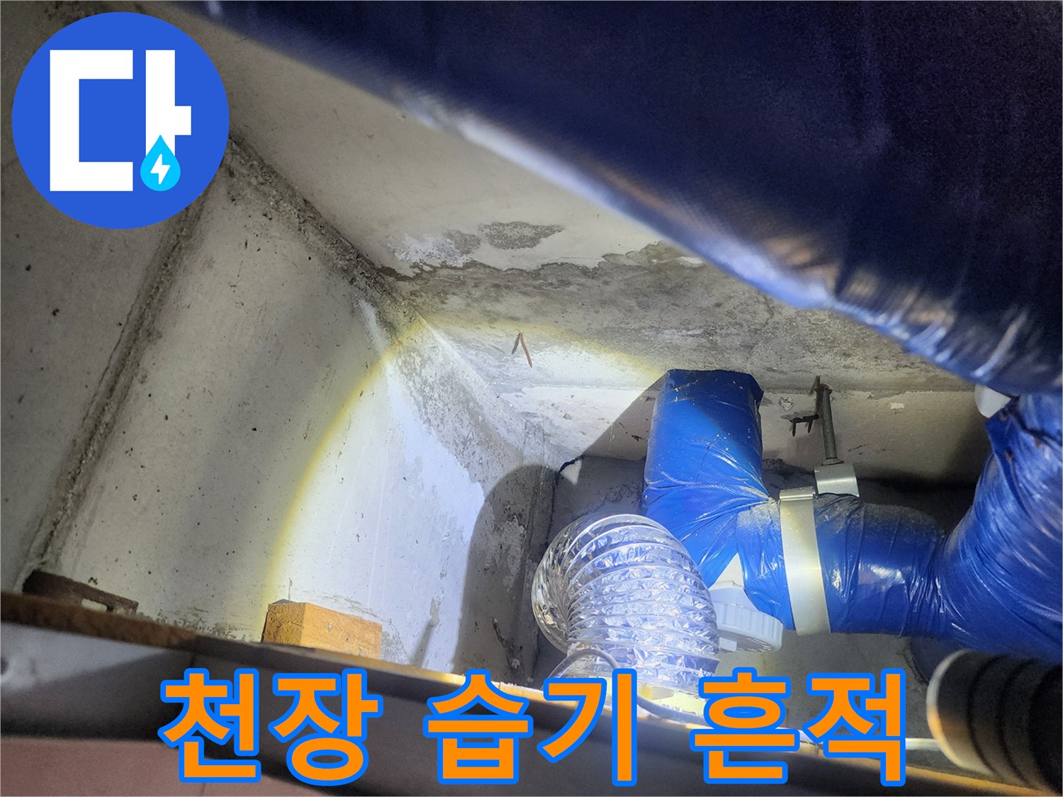 습기로 변색된 천장과 파란색 배관의 근접 촬영