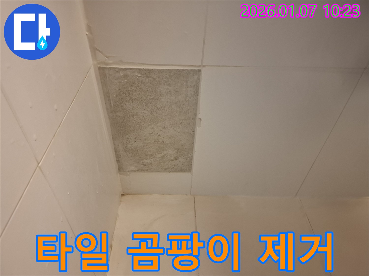 모현읍 욕실 누수 해결 - 곰팡이로 뒤덮인 타일을 깨끗하게 제거하고 누수까지 완벽하게 잡았습니다.