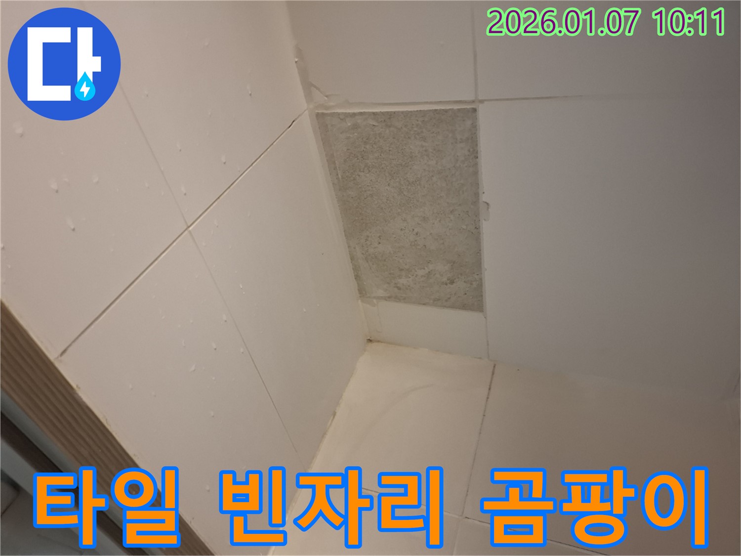 용인 모현읍 누수 - 타일이 없는 벽은 누수의 시작일 수 있으며 - 곰팡이는 가구를 손상시킬 수 있습니다.
