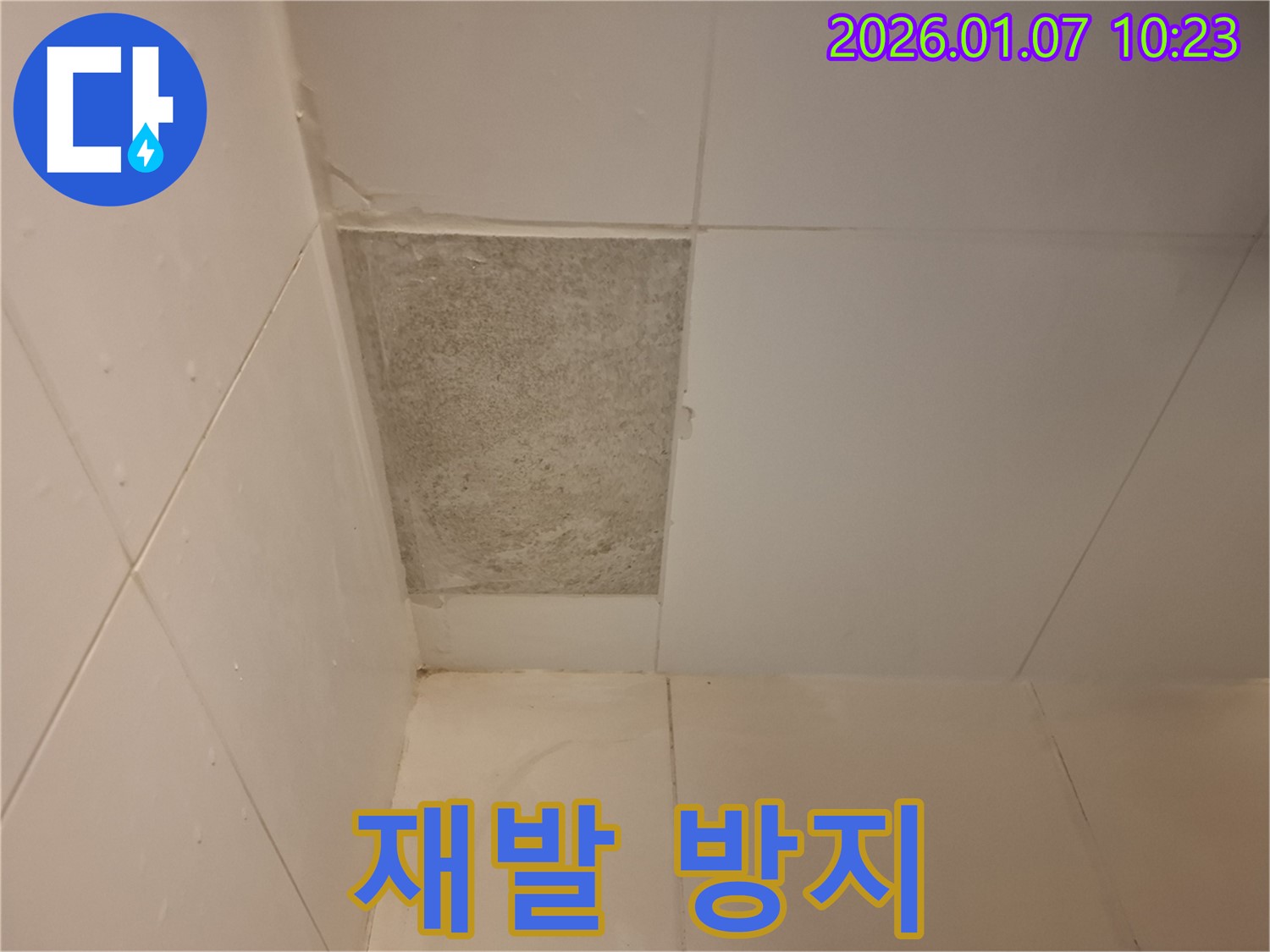 용인 외대 - 곰팡이 핀 타일, 누수 재발 방지를 위한 완벽한 시공!