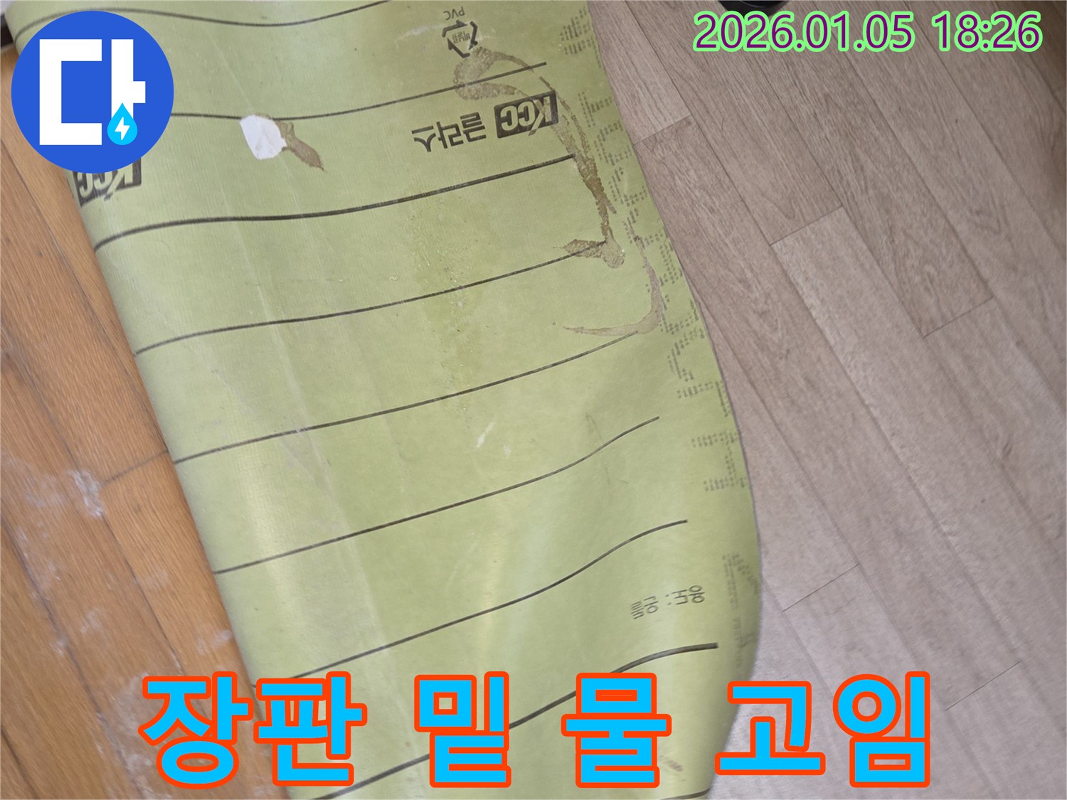 남양주 진건읍 누수 현장 - 장판 밑 물 고임은 긴급 점검이 필요한 상황입니다. 즉시 연락 주세요.