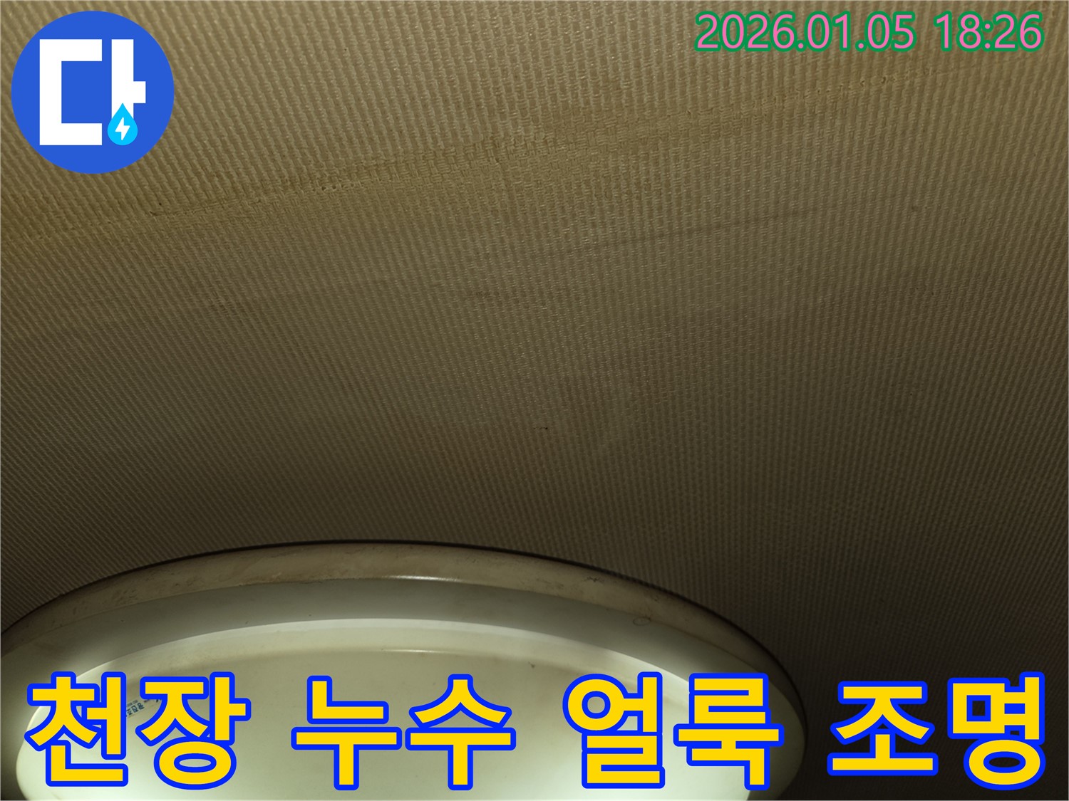 진건읍 천장 누수 현장 - 천장에 생긴 얼룩과 조명 주변의 누수 자국을 보여주는 사진입니다.