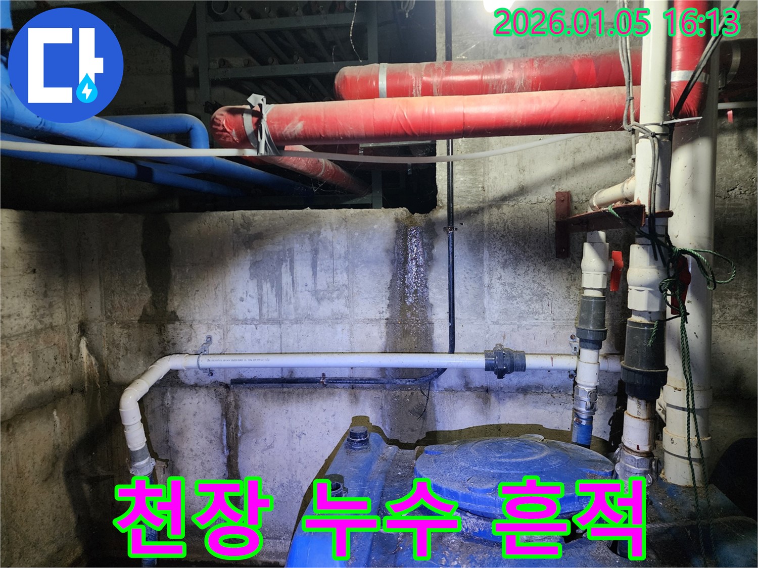 천장 누수 흔적 - 천장에 생긴 물 얼룩과 곰팡이