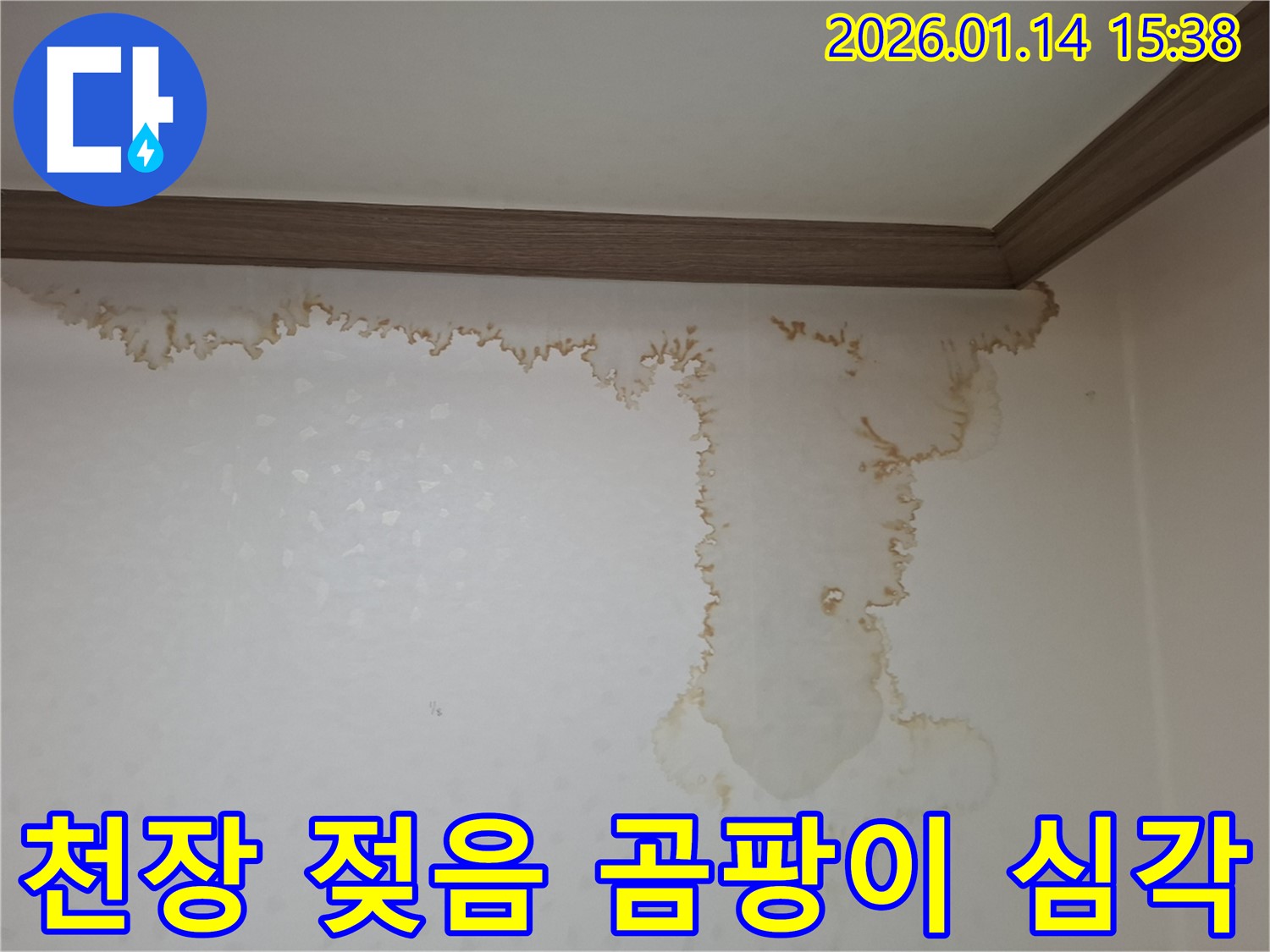 시흥 능곡동 천장 젖음 현상 - 곰팡이 발생으로 긴급 누수 해결 필요