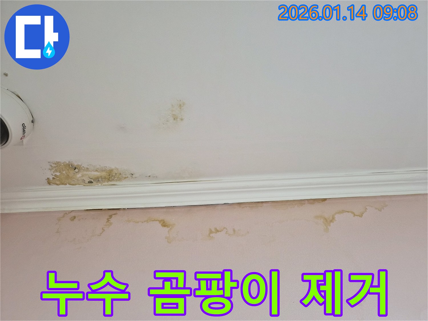 도곡동 누수로 인한 벽면과 천장의 곰팡이-건강을 위협하는 곰팡이를 전문적으로 제거합니다.