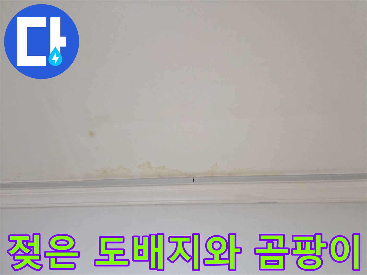 천장-벽면-경계에-발생한-물샘과-곰팡이-흔적