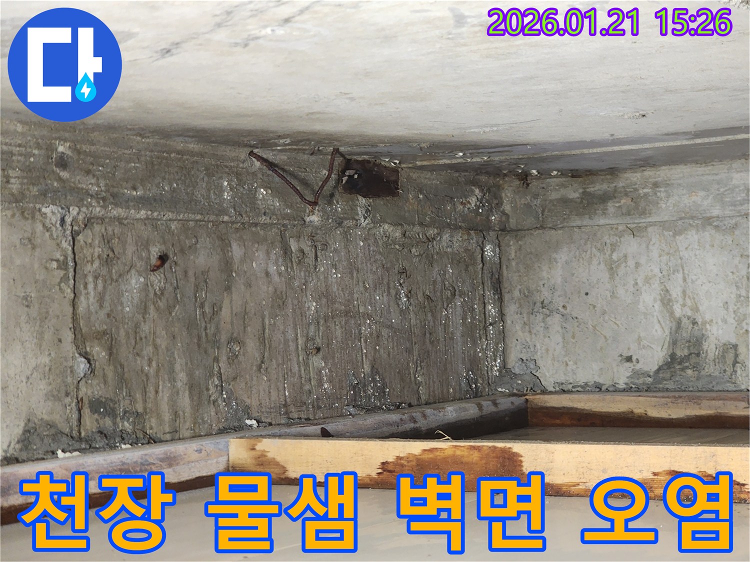 천장-아래-목재-구조물과-콘크리트-벽면에서-발견된-누수로-인한-오염과-습기-침투-현상