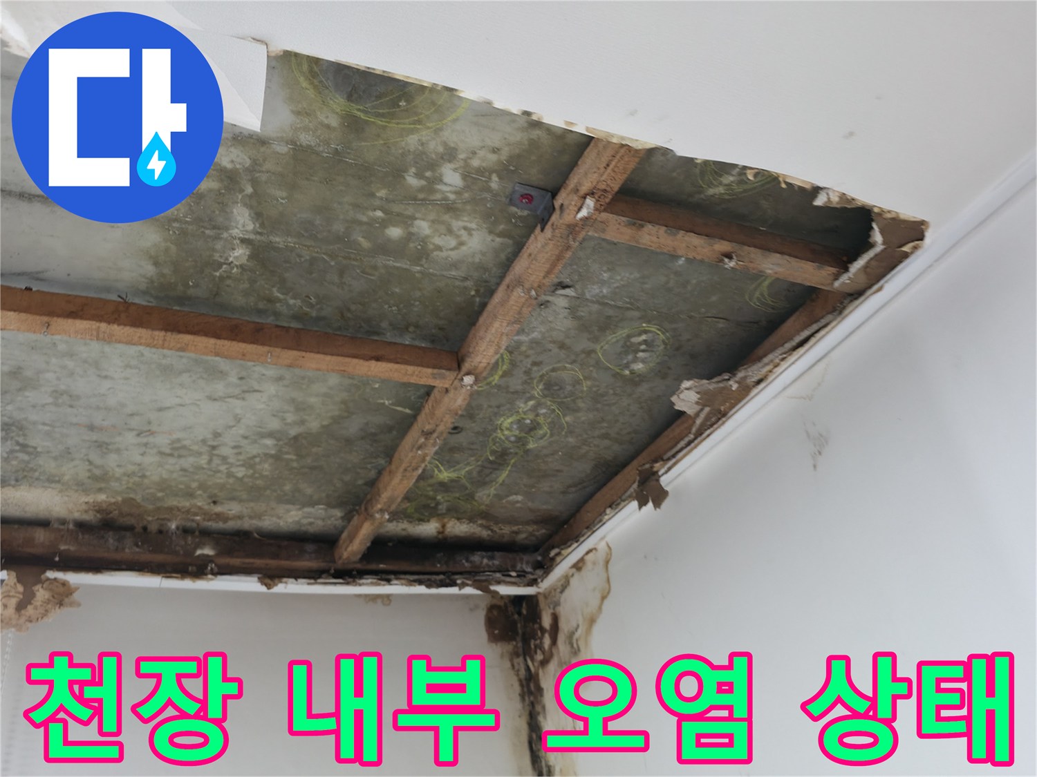 젖어있는 천장 구조물과 곰팡이 발생 부위