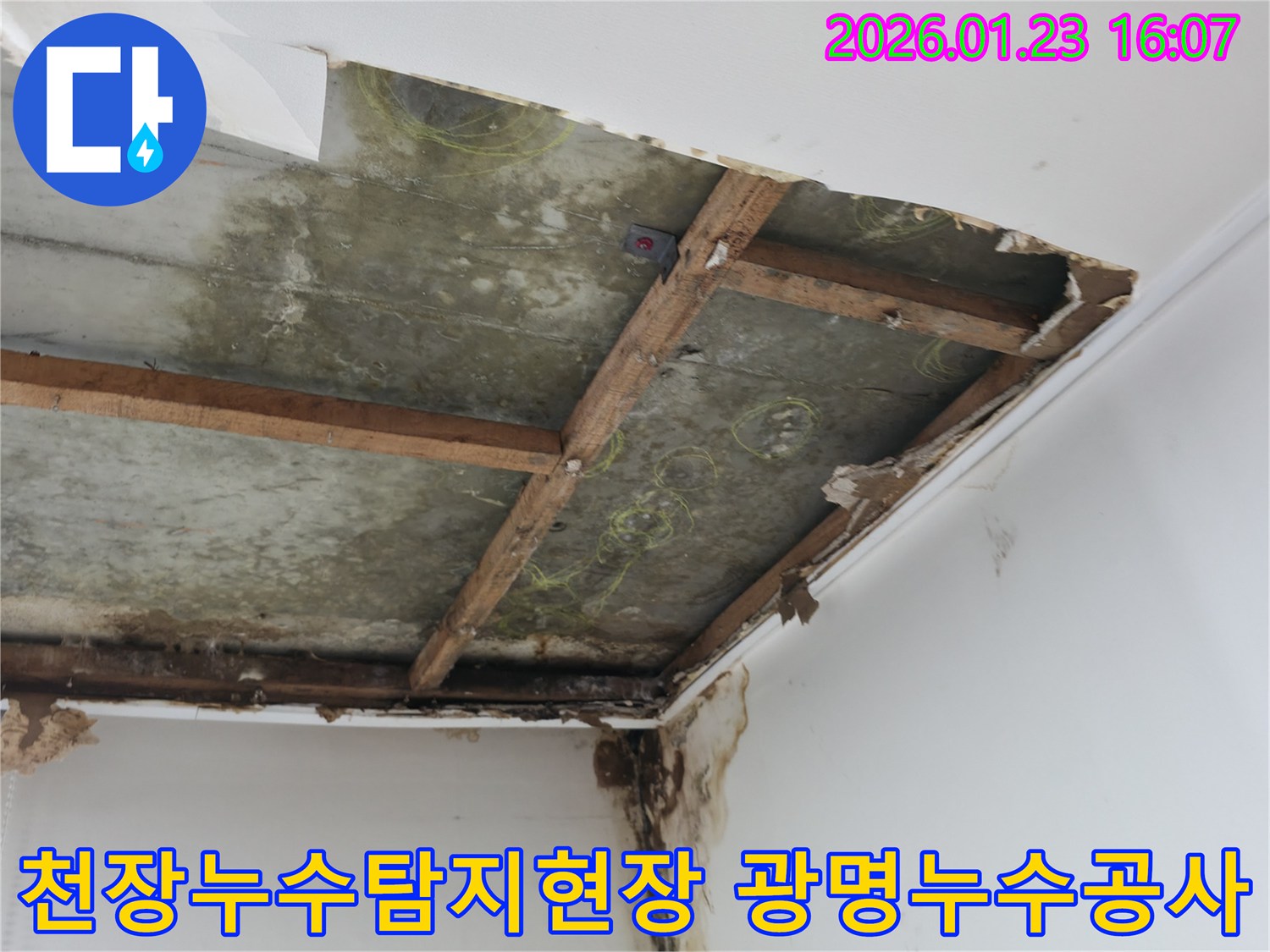 천장 누수로-인해-석고보드가-손상된-현장을-정밀하게-진단하는-모습