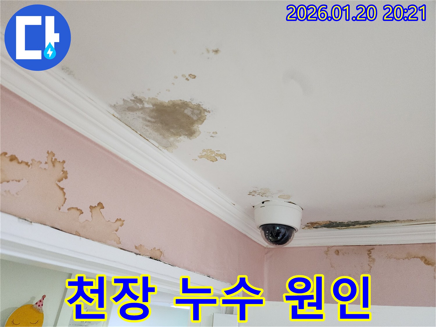 도곡동 천장 누수 - 누수 원인을 파악하기 위한 정밀 검사 사진입니다.