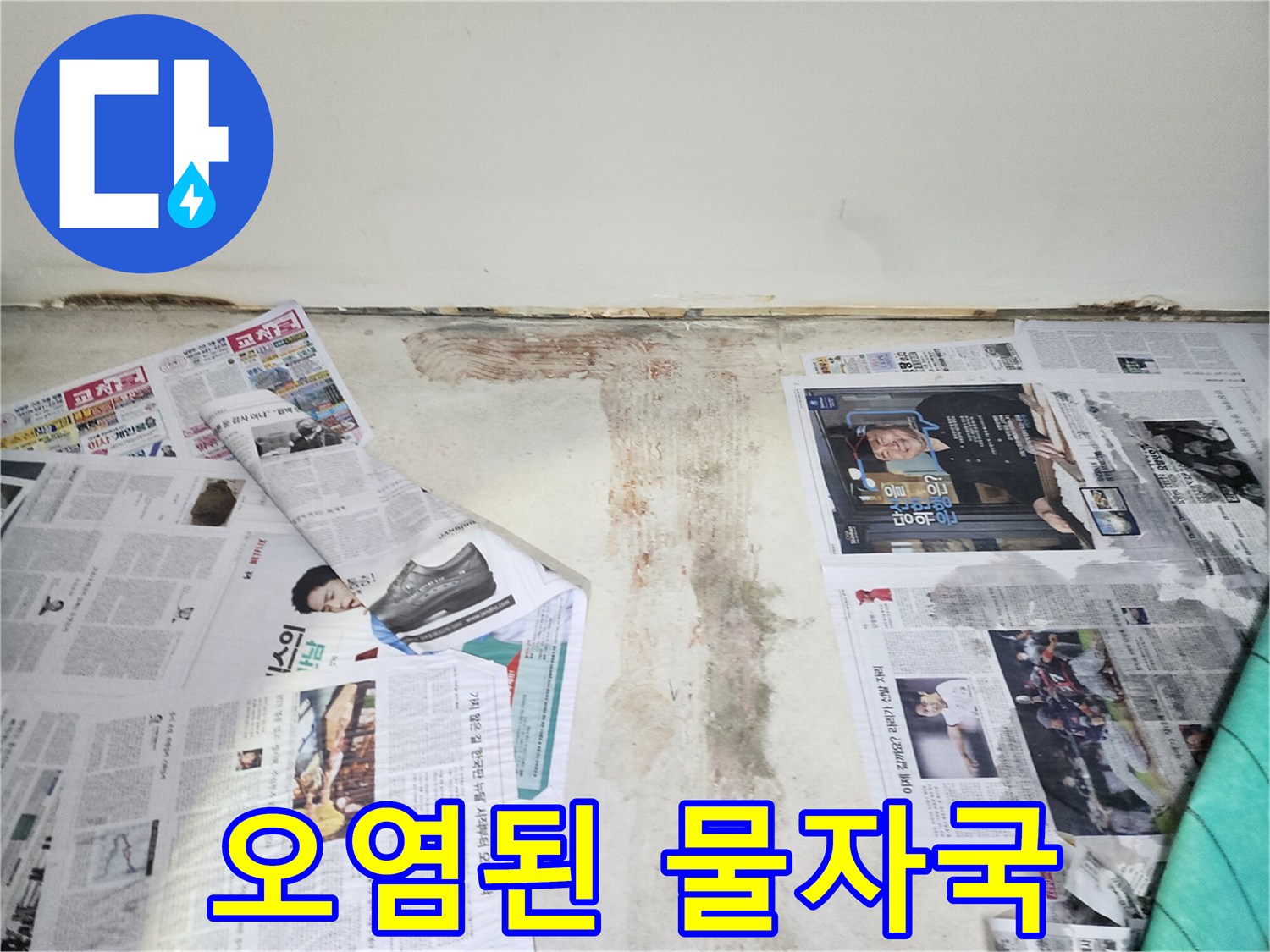 벽에 생긴 어둡고 오염된 물자국-위생 문제를 야기할 수 있습니다.
