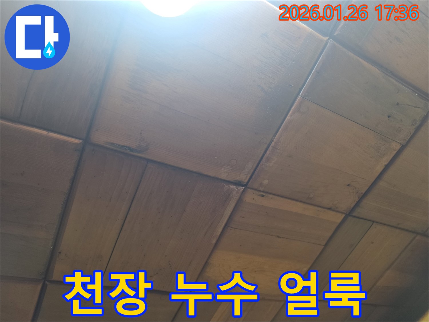 천장 누수 얼룩 - 나무 천장에 생긴 누수 얼룩의 모습