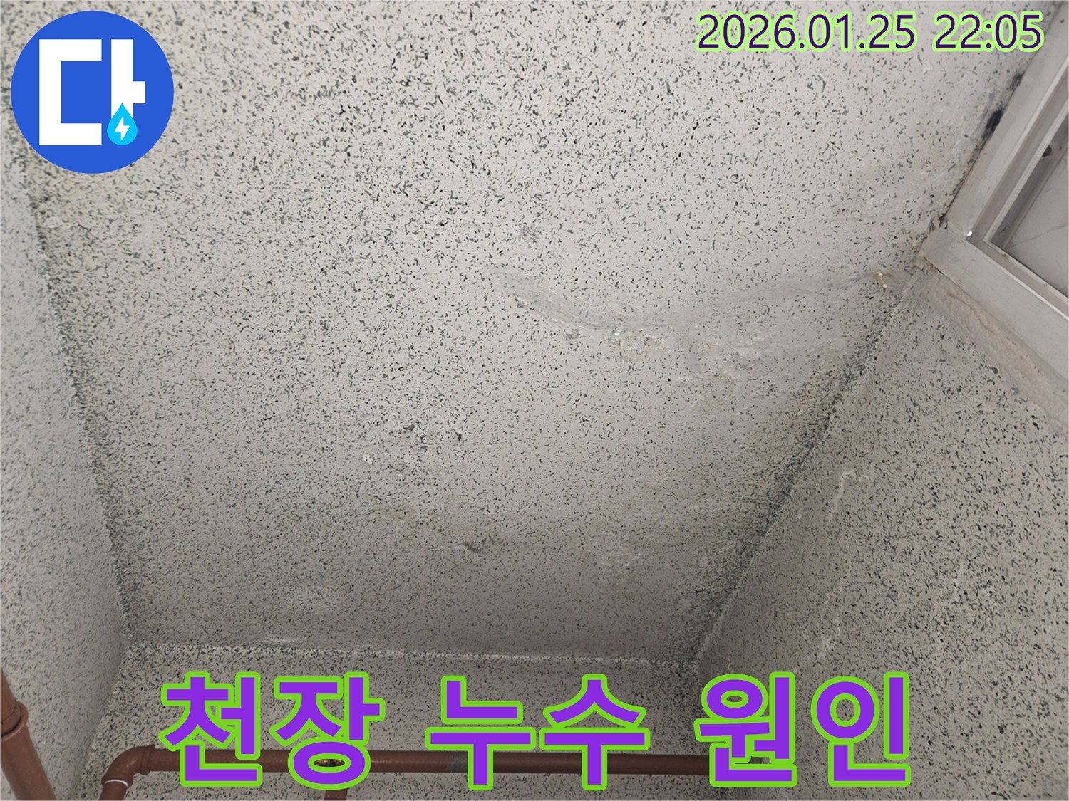 용인시 모현에서 천장 누수 원인을 해결하기 위해 누수탐지 전문 업체가 방문했습니다 - 꼼꼼한 점검!