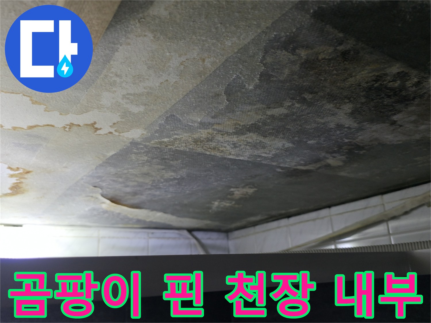 화장실 천장-심한 습기와 오염으로 검게 변색된 콘크리트 표면