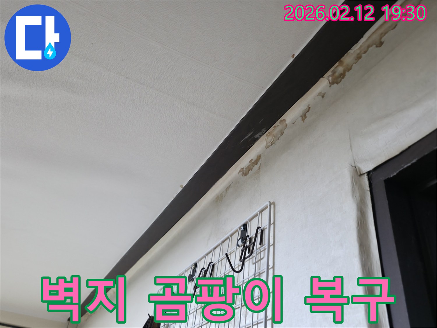 누수로-인해-벽지에-곰팡이가-생기고-손상되어-심각하게-훼손된-벽면의-상태를-보여주는-사진