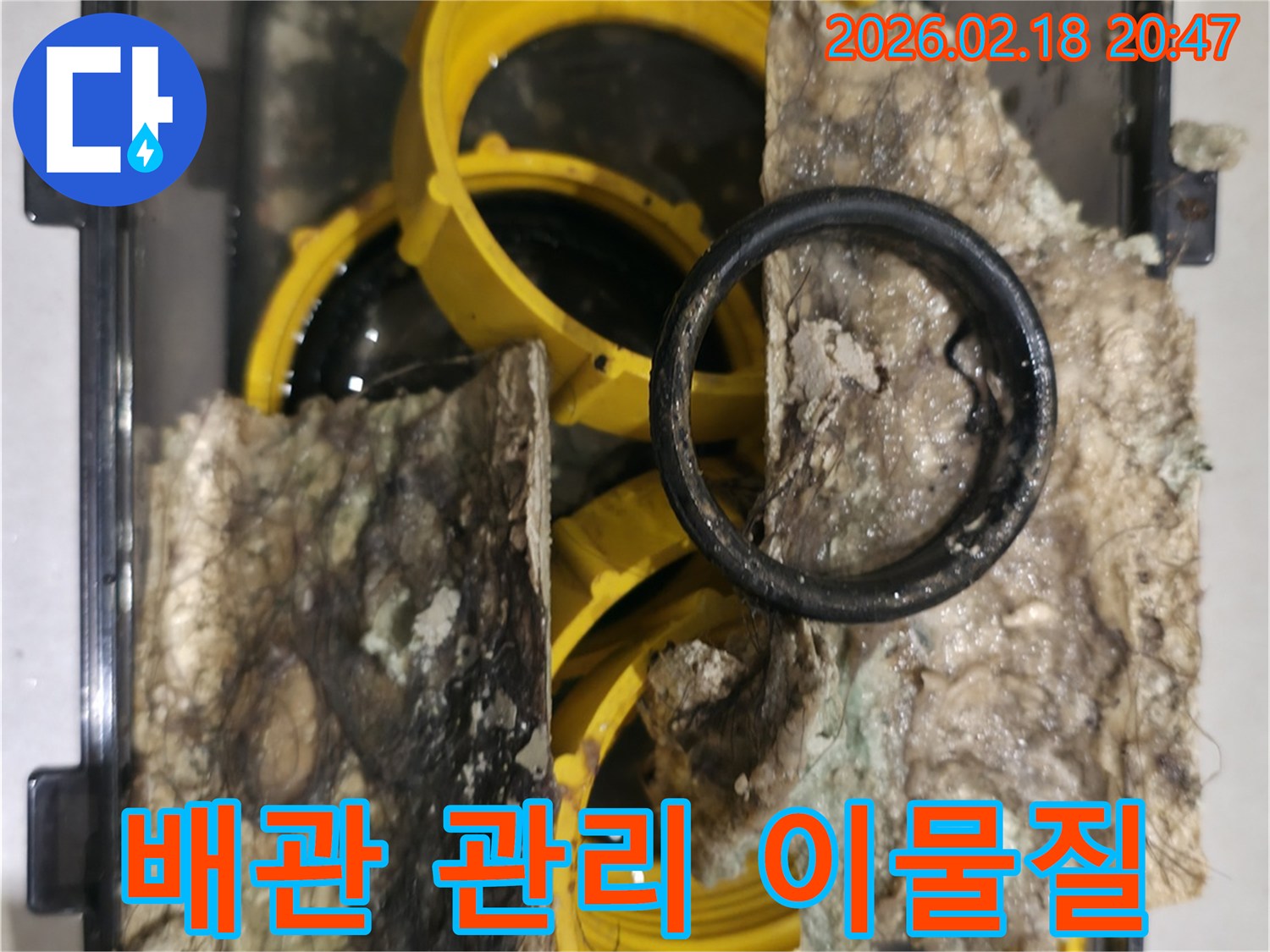 배관-관리를-위해-내부에서-제거된-오염물과-손상된-고무-패킹을-보여주는-사진입니다