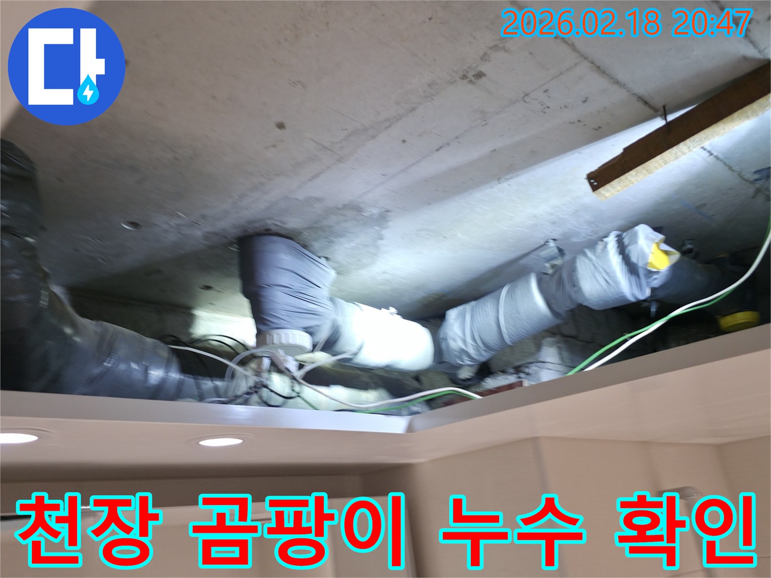 양주시 천장 곰팡이 현장에서-누수와 관련된 문제 해결을 위해-배관 상태를 확인하는-전문가의 모습입니다