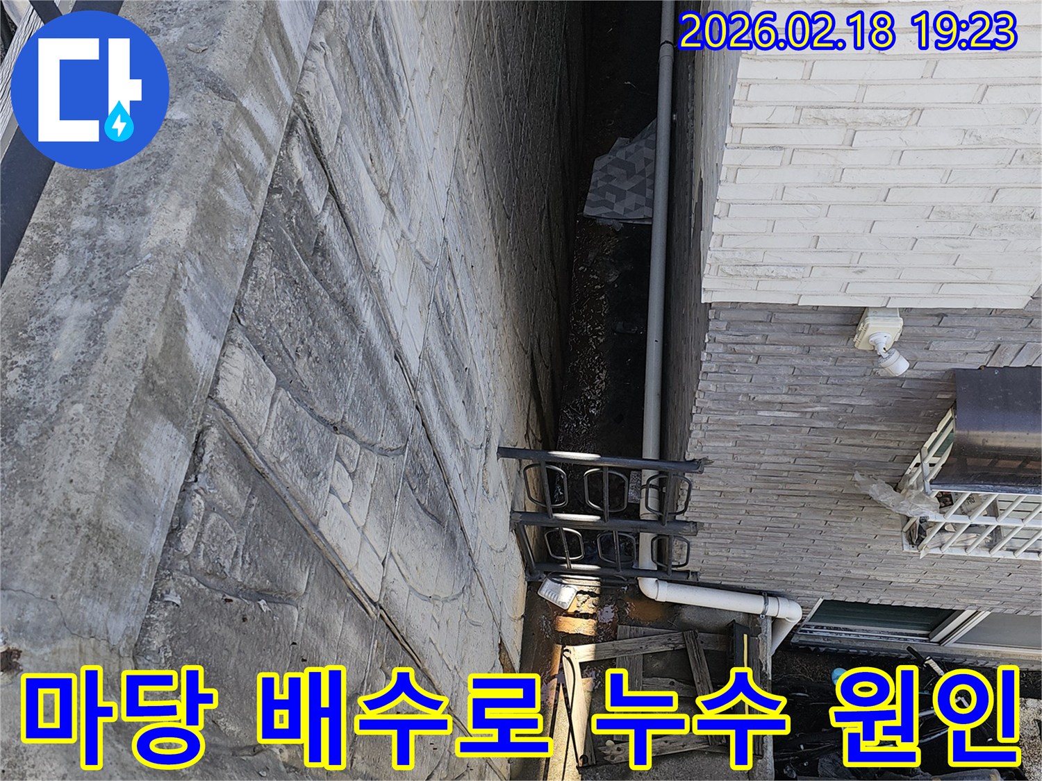 일산동구 숲속마을 주택 마당의 배수로 주변에서 발생한 누수의-정확한 원인을 파악하기 위해 전문가가 현장을 조사하는 모습입니다