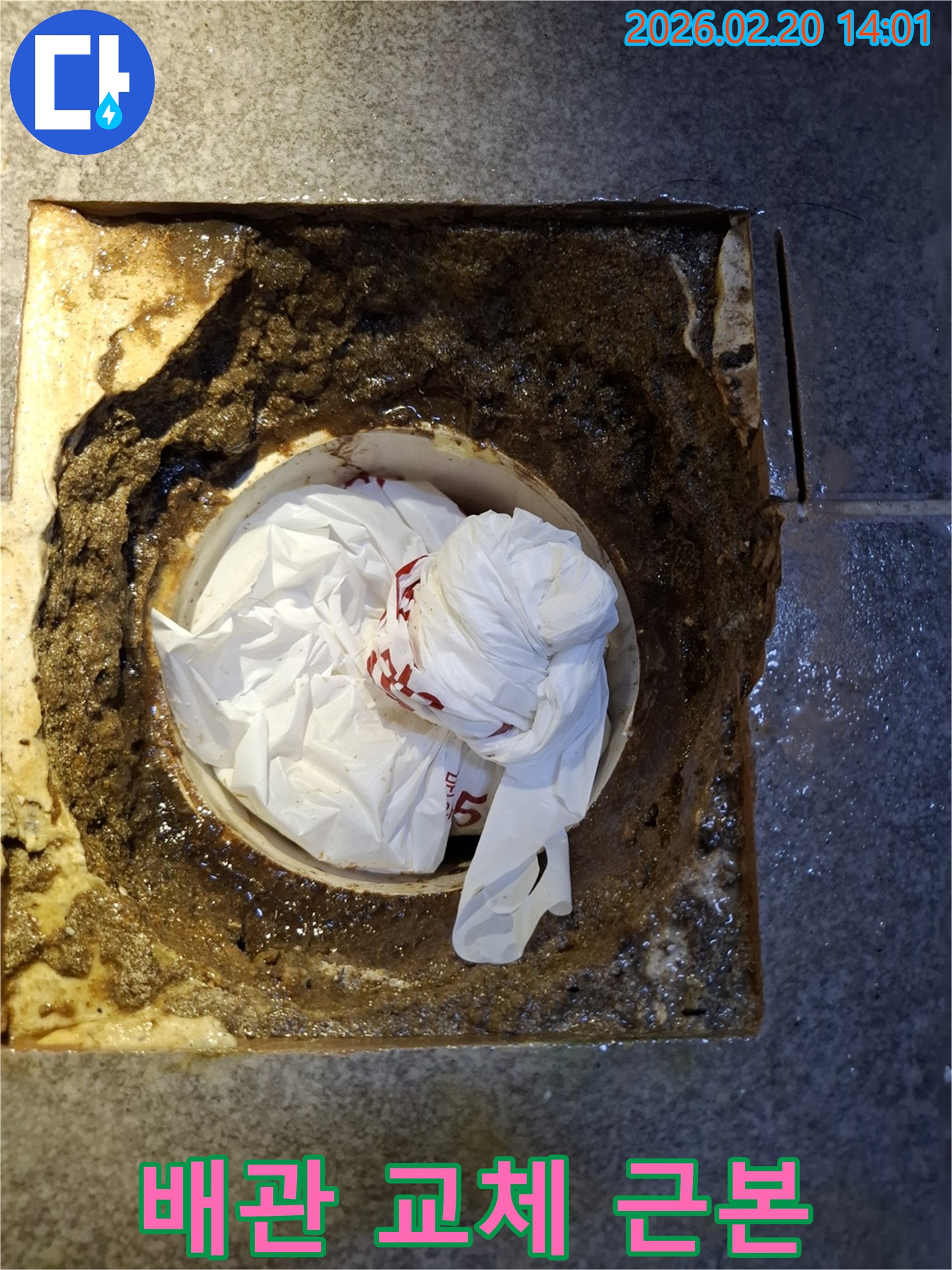 오물과 비닐로 심각하게 막힌 노후 배관-누수 재발 방지를 위한 교체 작업 현장