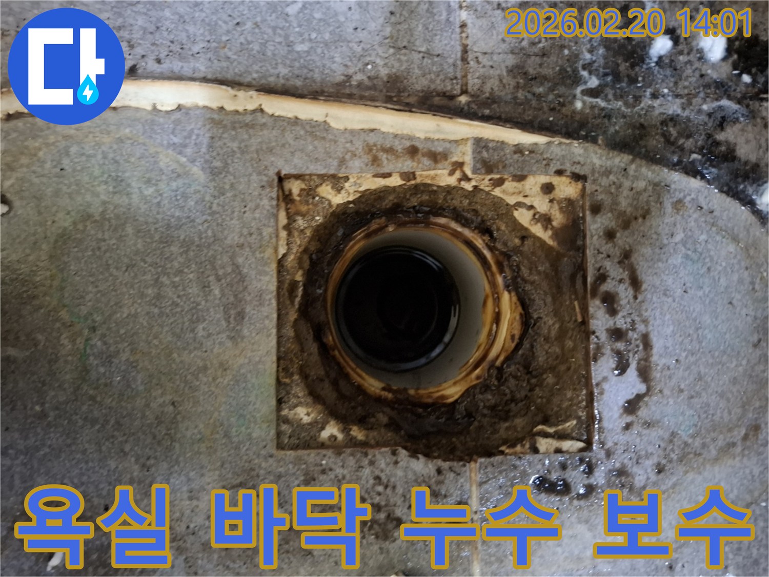 욕실 바닥 배수구 주변의-오래된 틈새에서-누수가 발생하여-보수 작업이 필요한 현장 사진