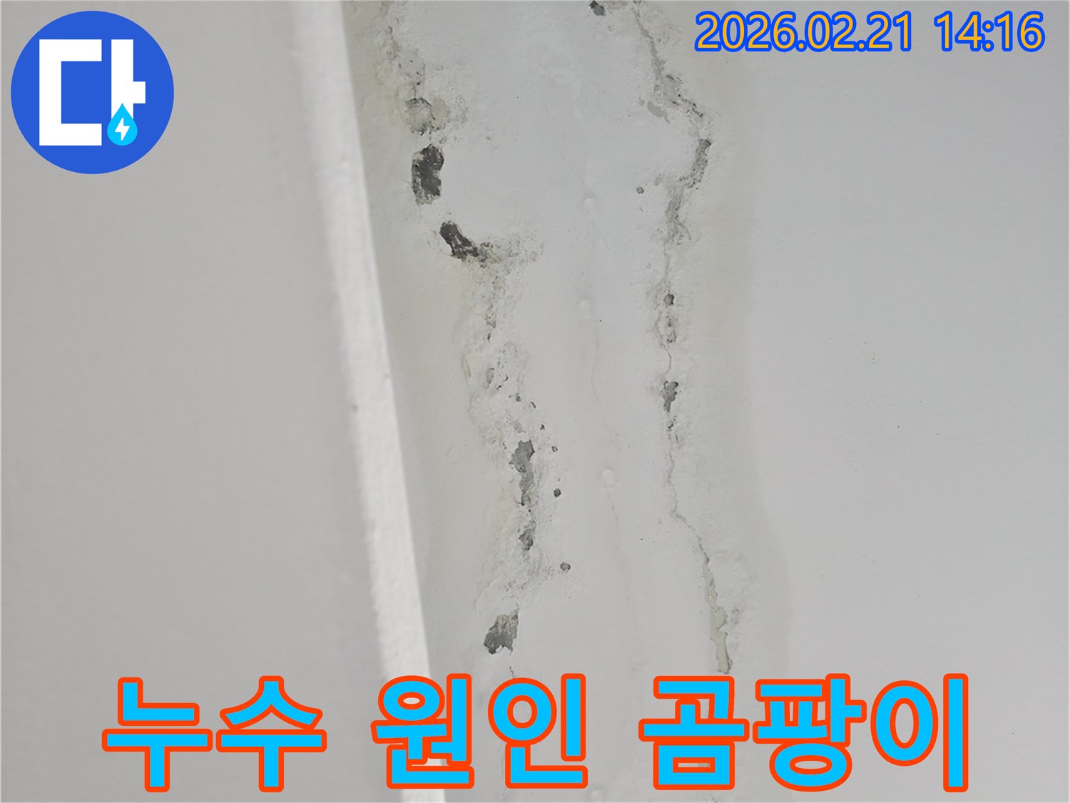 천장과-벽면-경계에서-발생한-누수로-인한-페인트-들뜸과-검은색-곰팡이