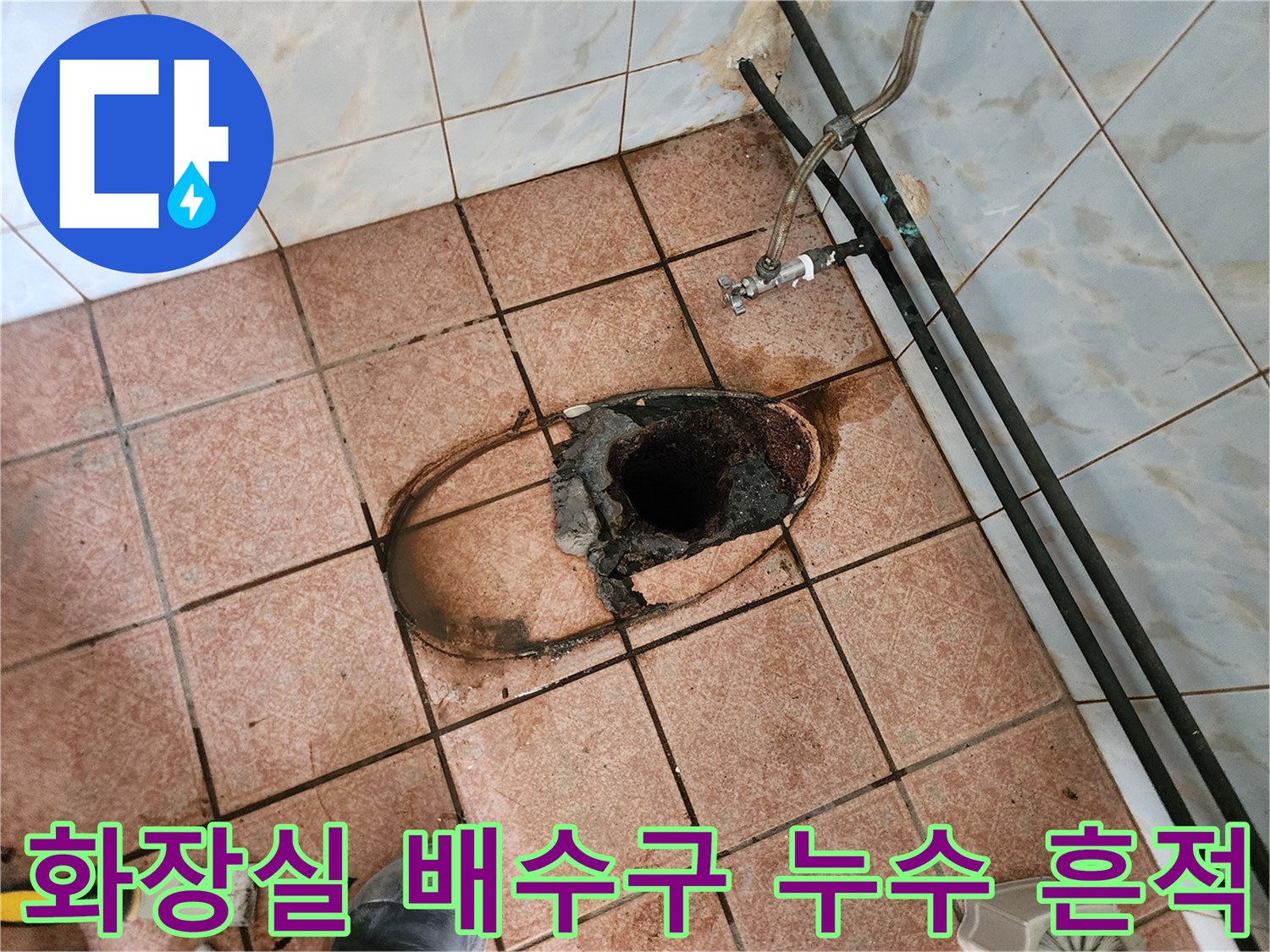 양주시 화장슬 바닥 배수구 주변의 젖은 타일과 오염된 배관 상태