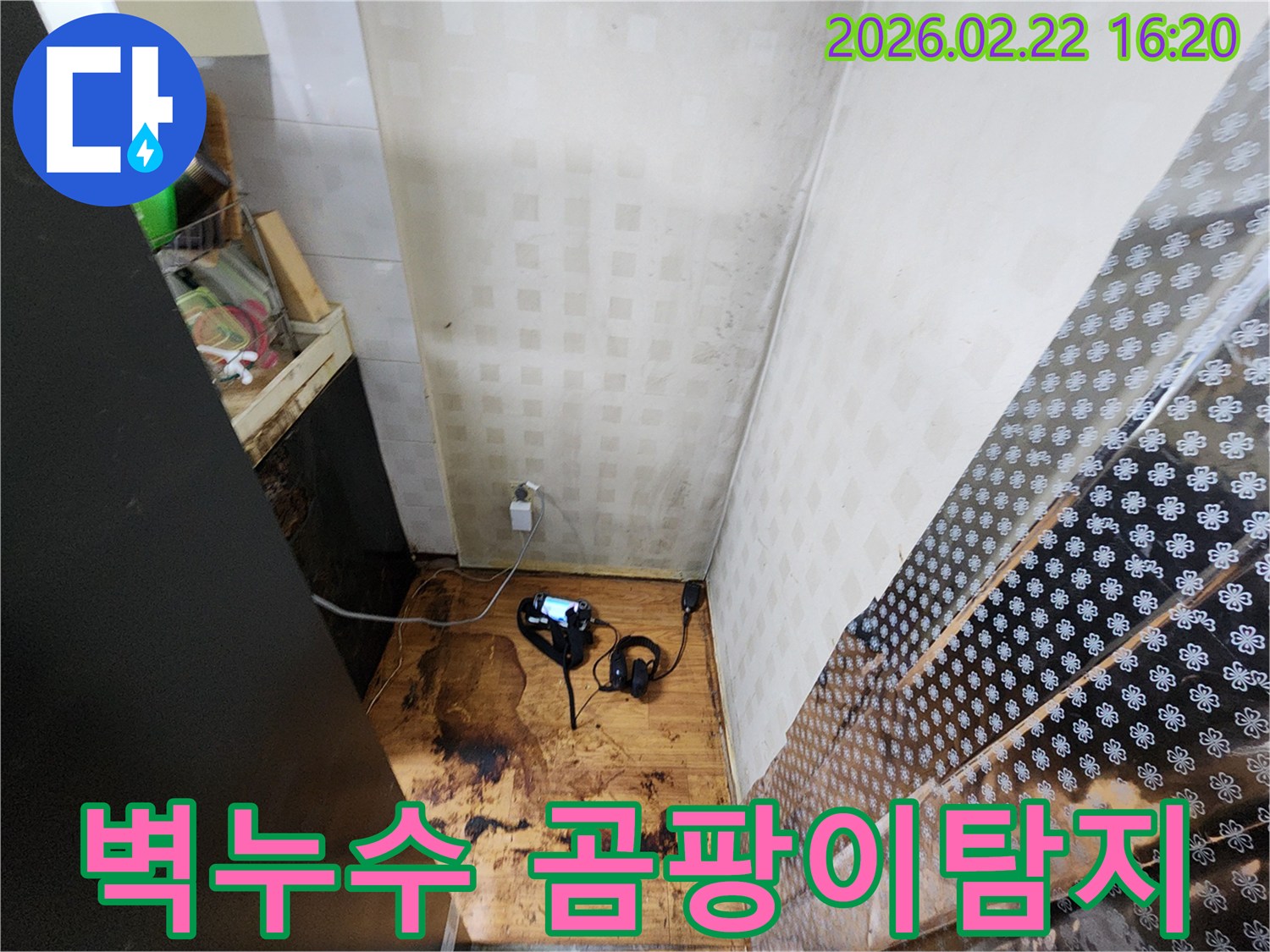 벽지 곰팡이와-바닥 습기가 심한 누수 현장에서-전문 장비를 이용해-벽 속 숨은 누수 원인을-정밀하게 탐지하고 있습니다